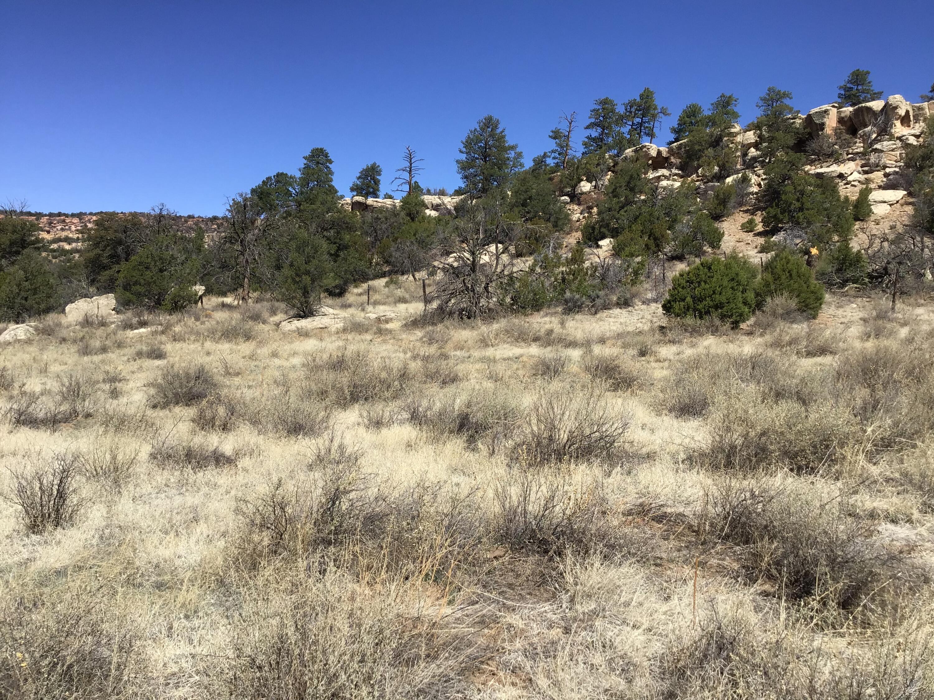 Photo 20 — 3239 Hwy 53