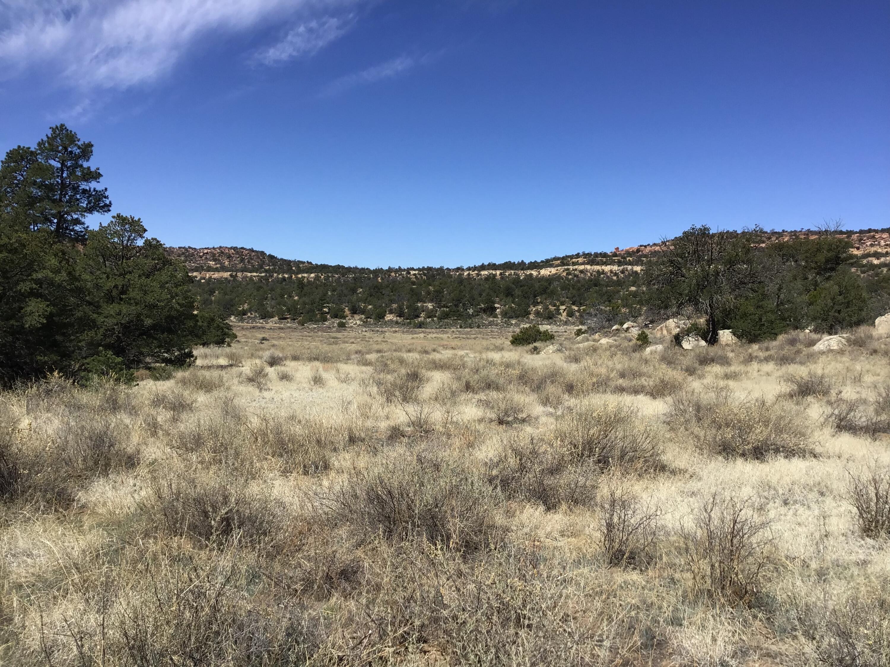 Photo 19 — 3239 Hwy 53