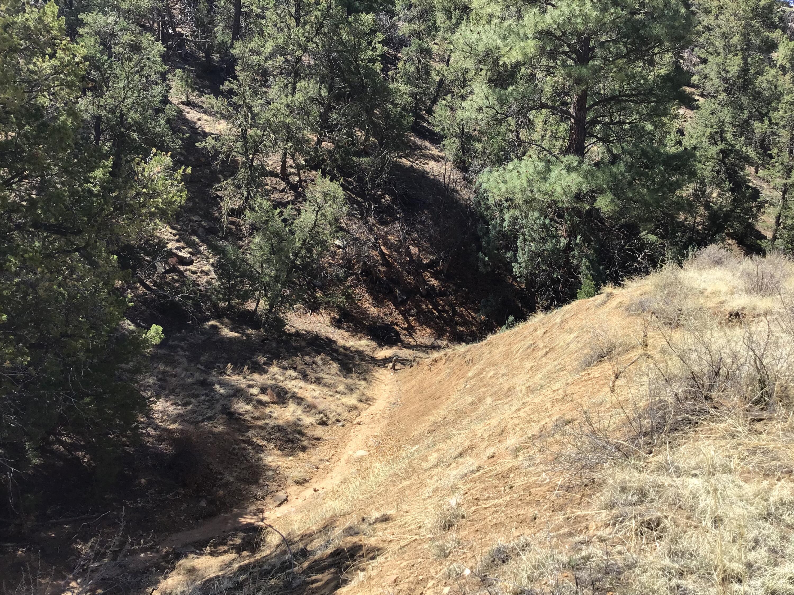 Photo 18 — 3239 Hwy 53