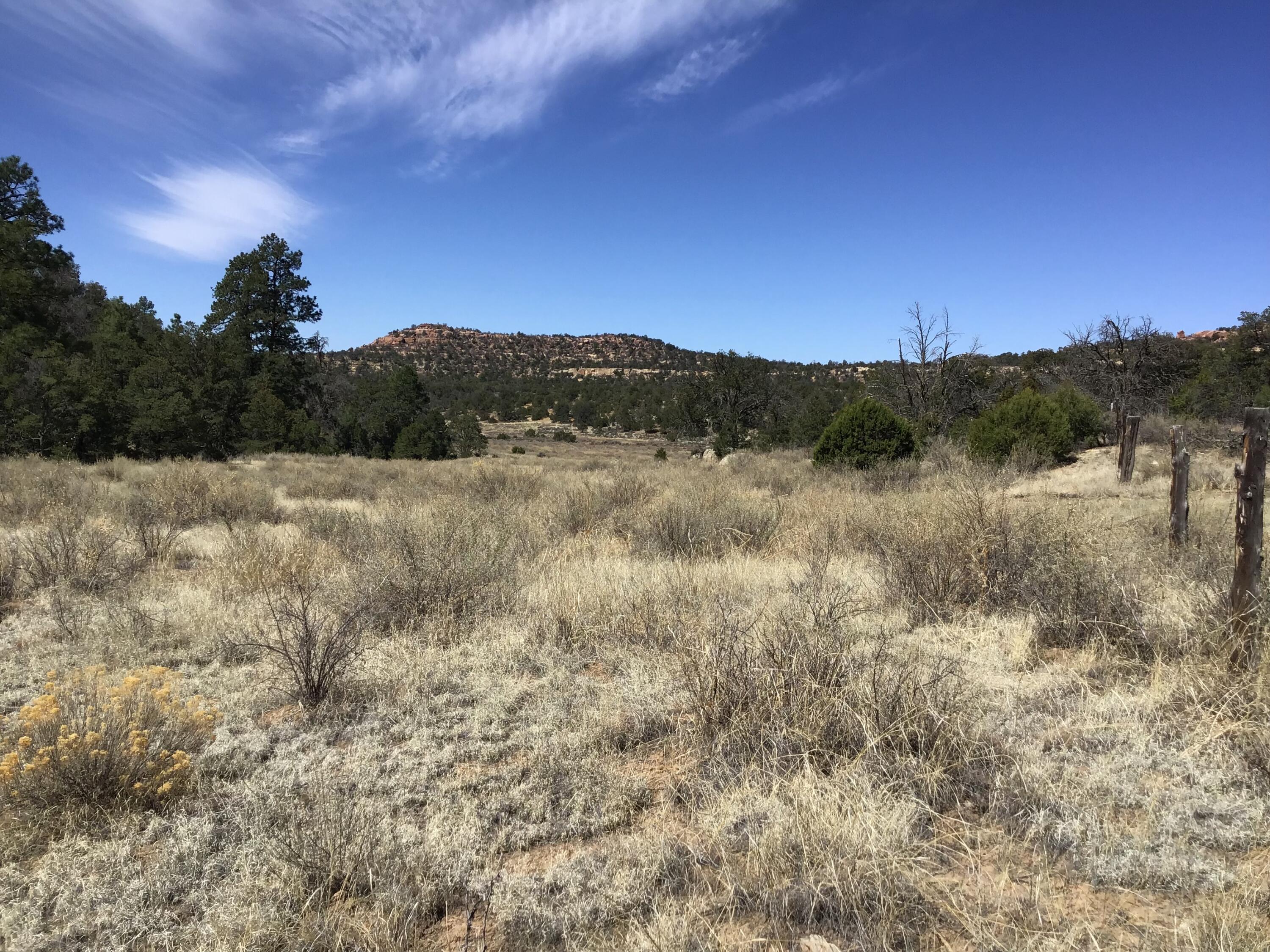Photo 17 — 3239 Hwy 53