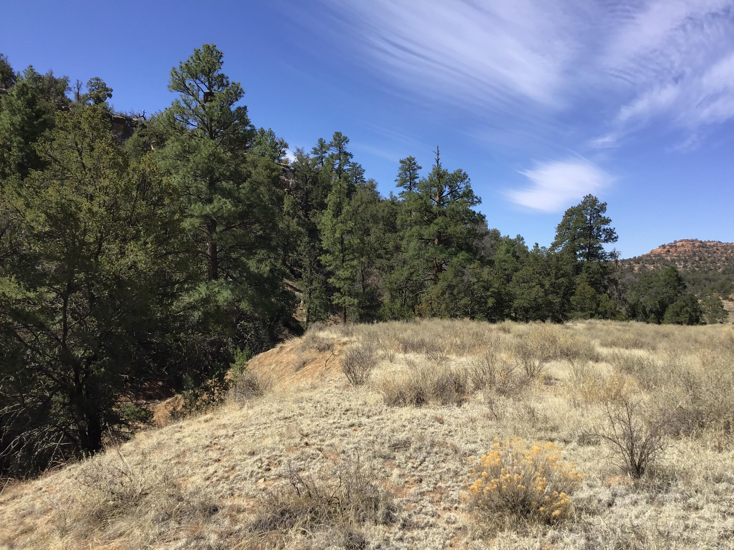 Photo 16 — 3239 Hwy 53