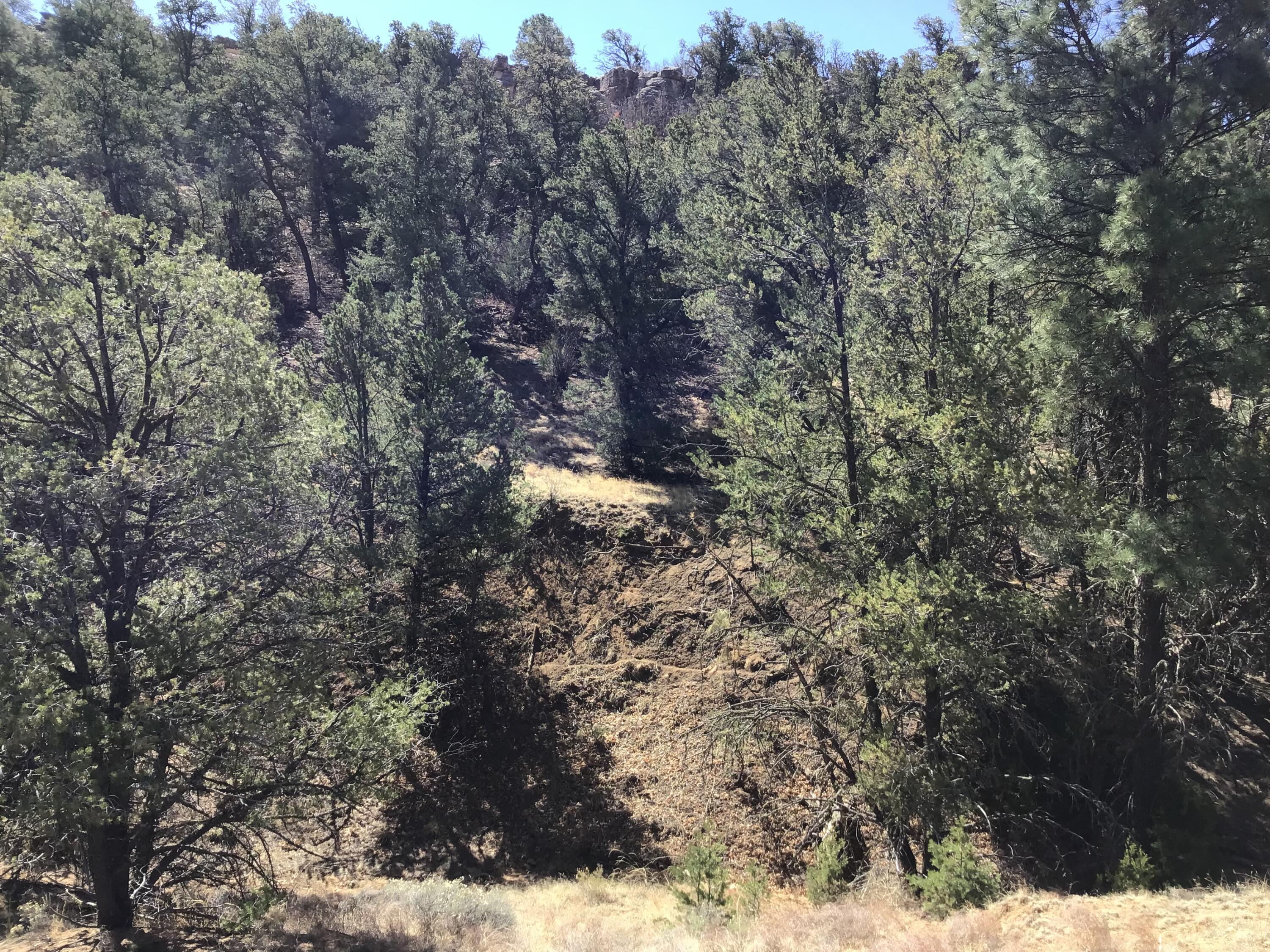 Photo 15 — 3239 Hwy 53