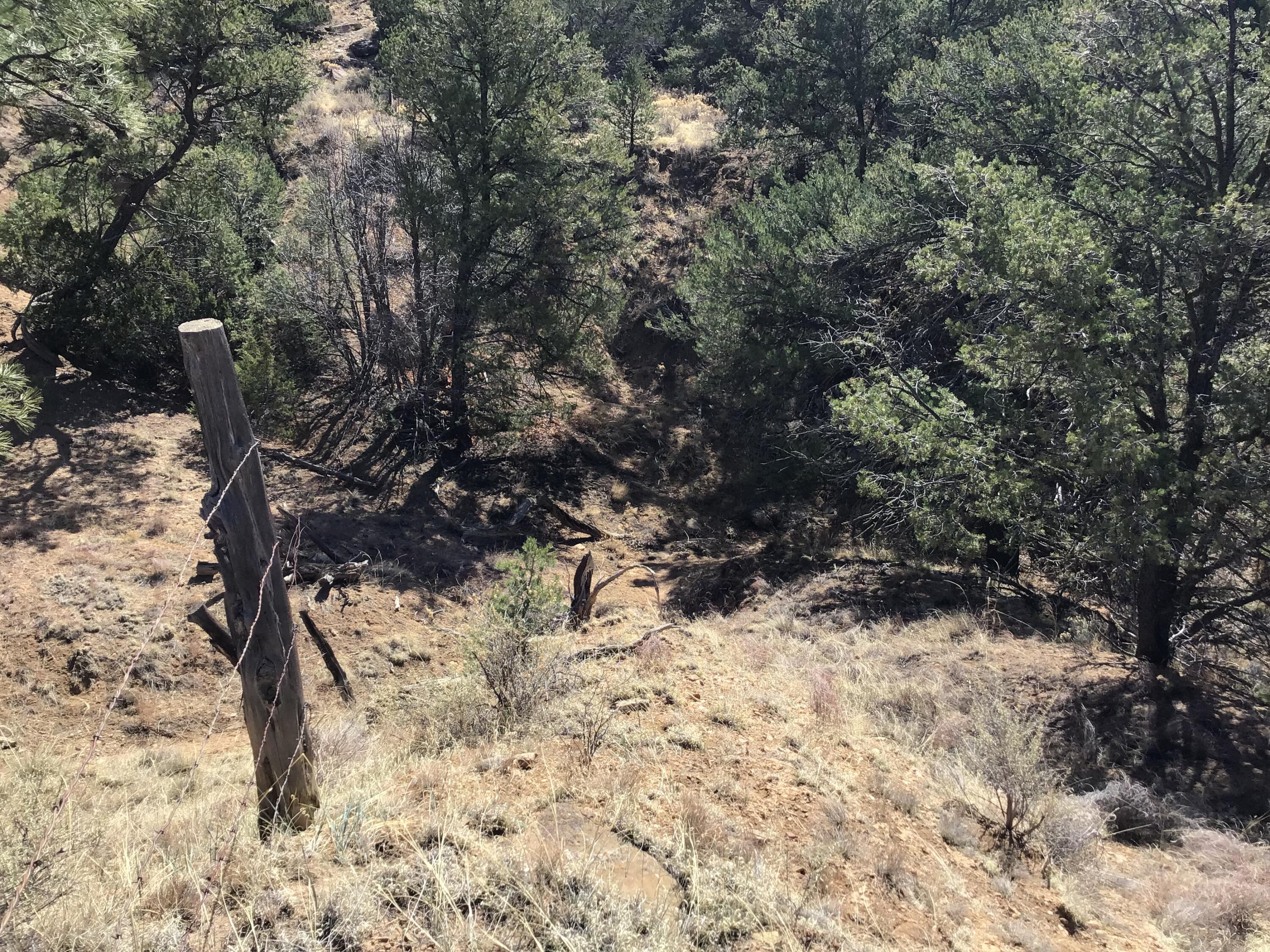 Photo 14 — 3239 Hwy 53
