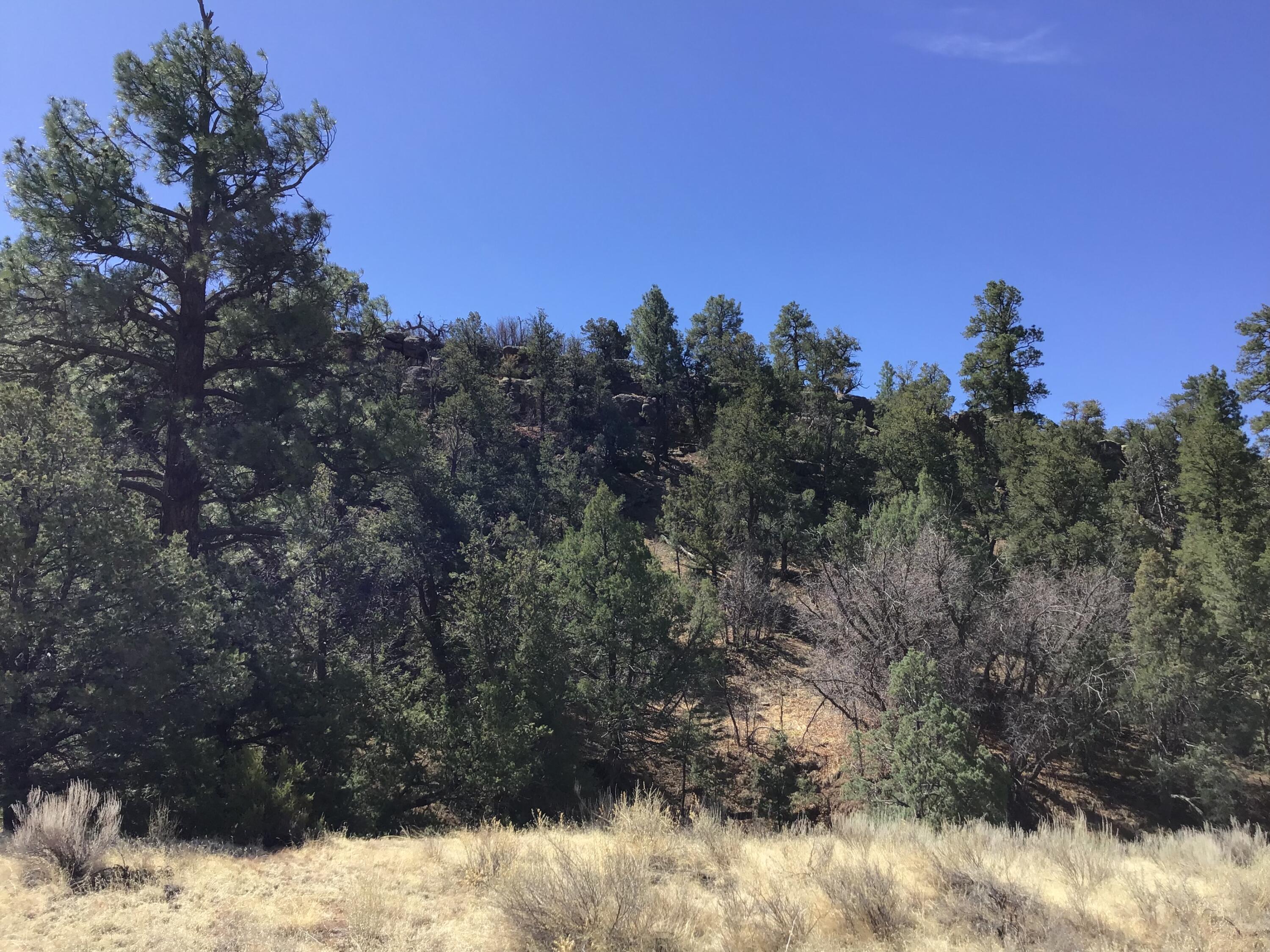 Photo 13 — 3239 Hwy 53