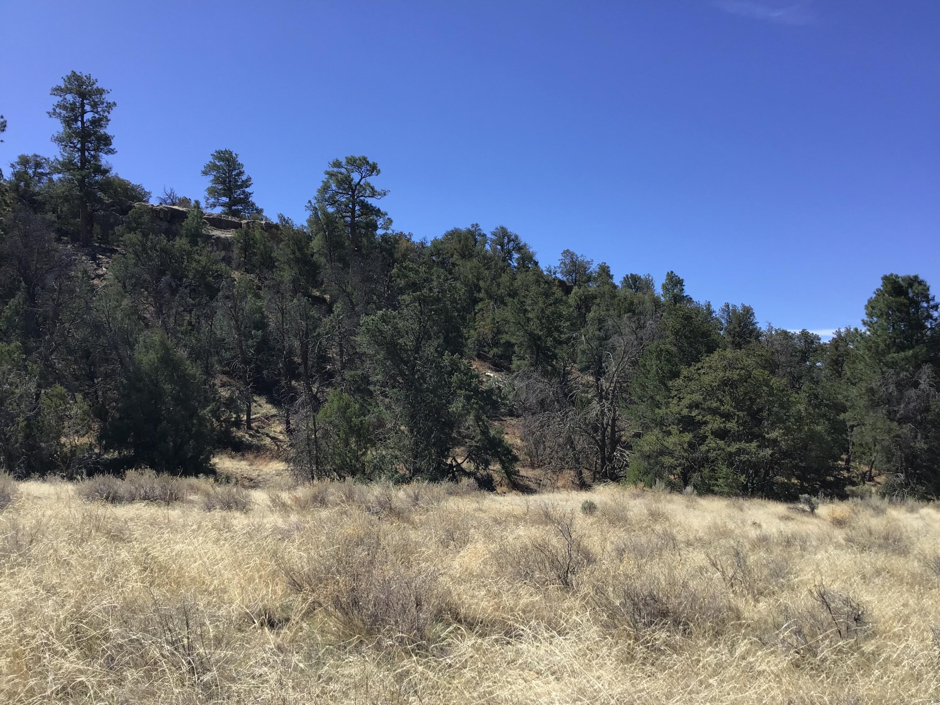 Photo 12 — 3239 Hwy 53