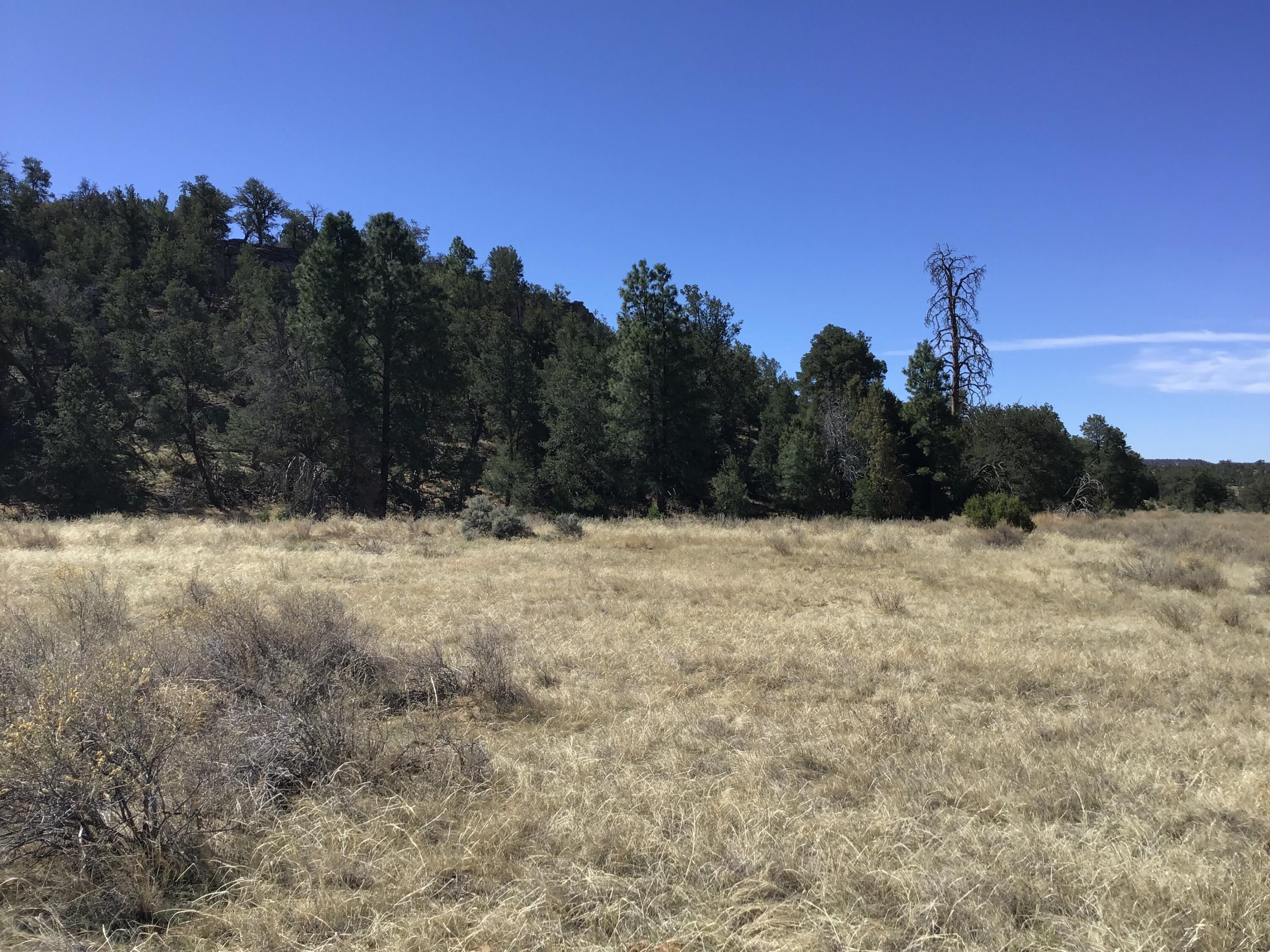 Photo 11 — 3239 Hwy 53