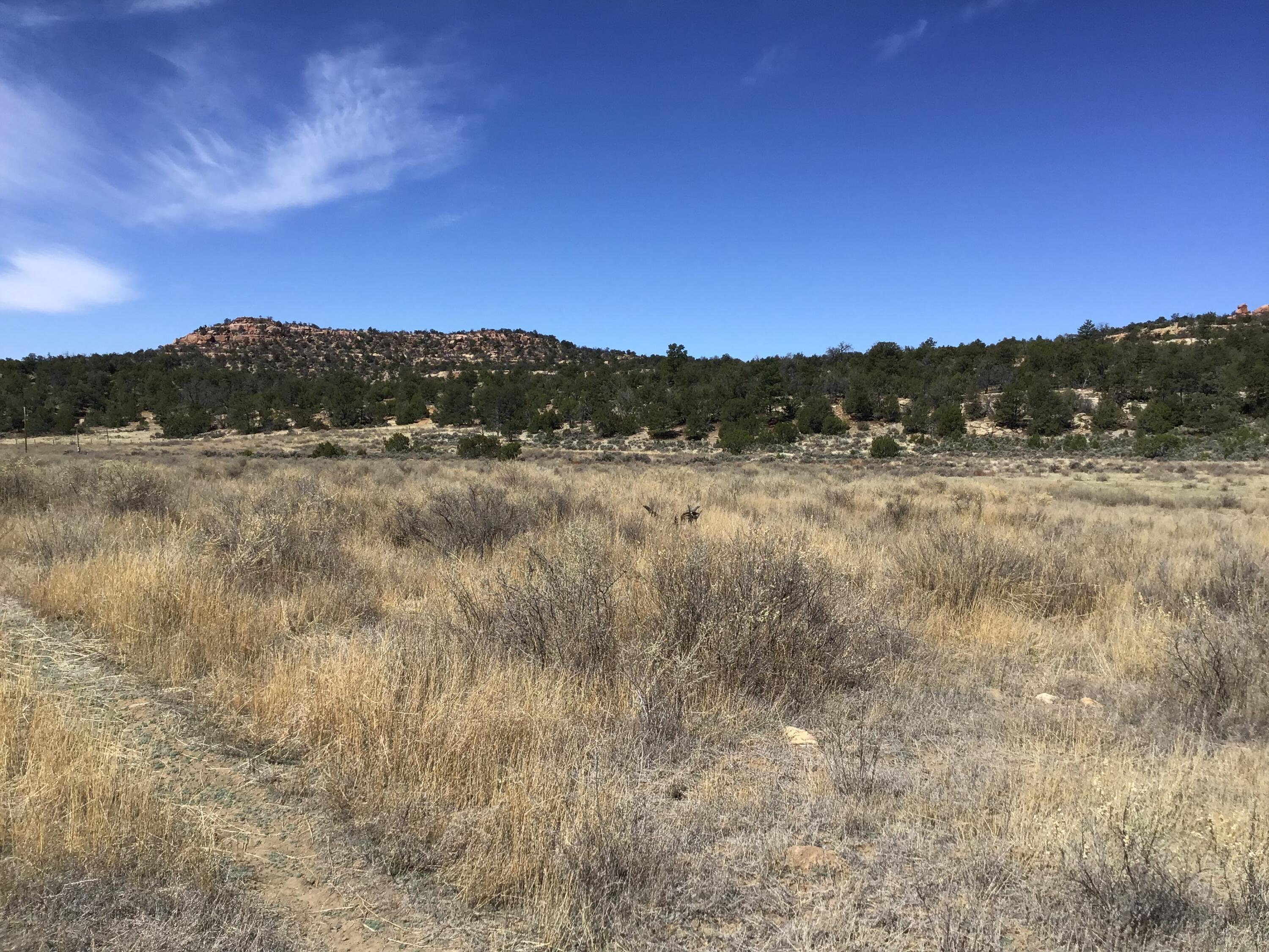 Photo 10 — 3239 Hwy 53