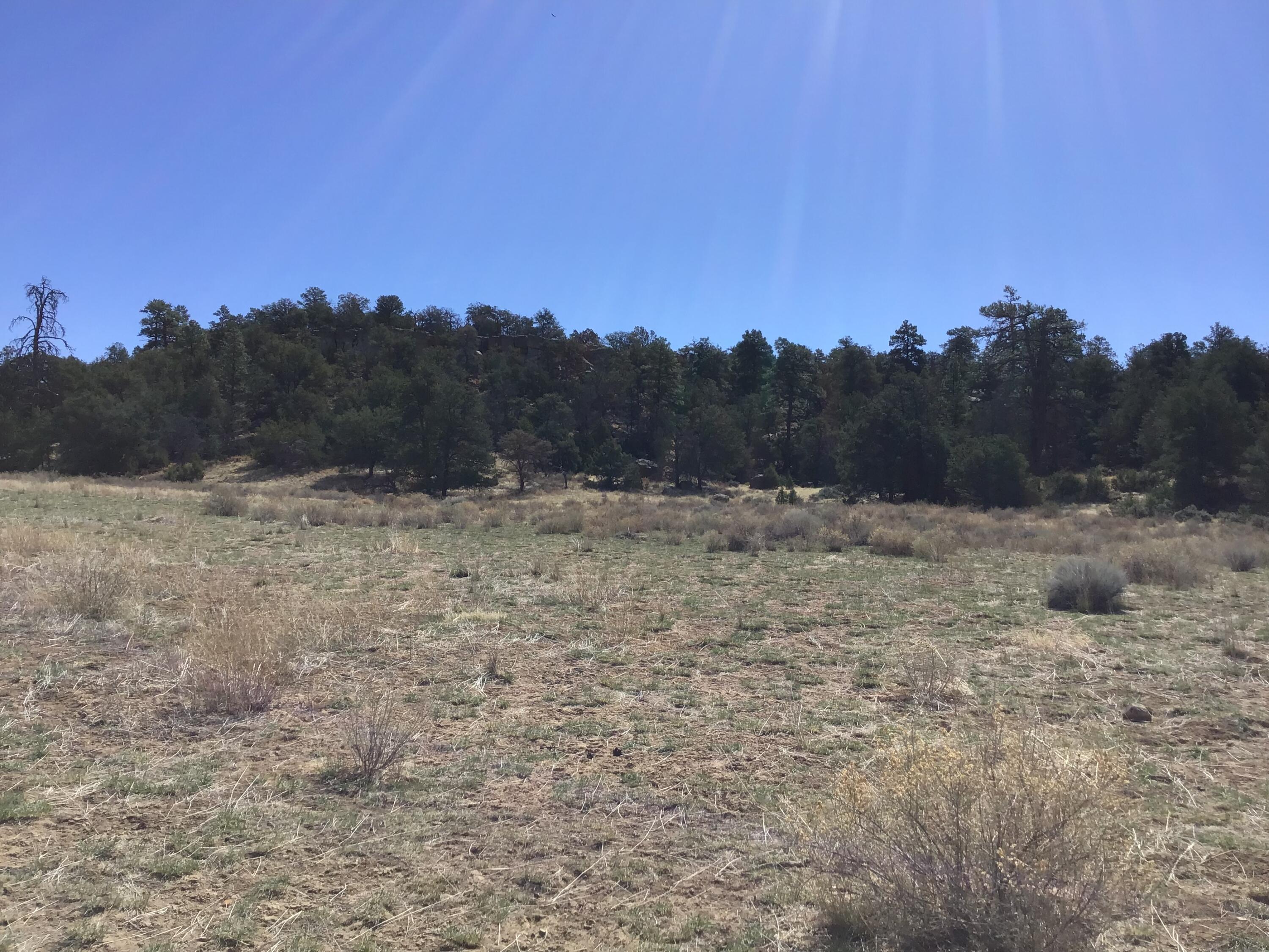 Photo 9 — 3239 Hwy 53