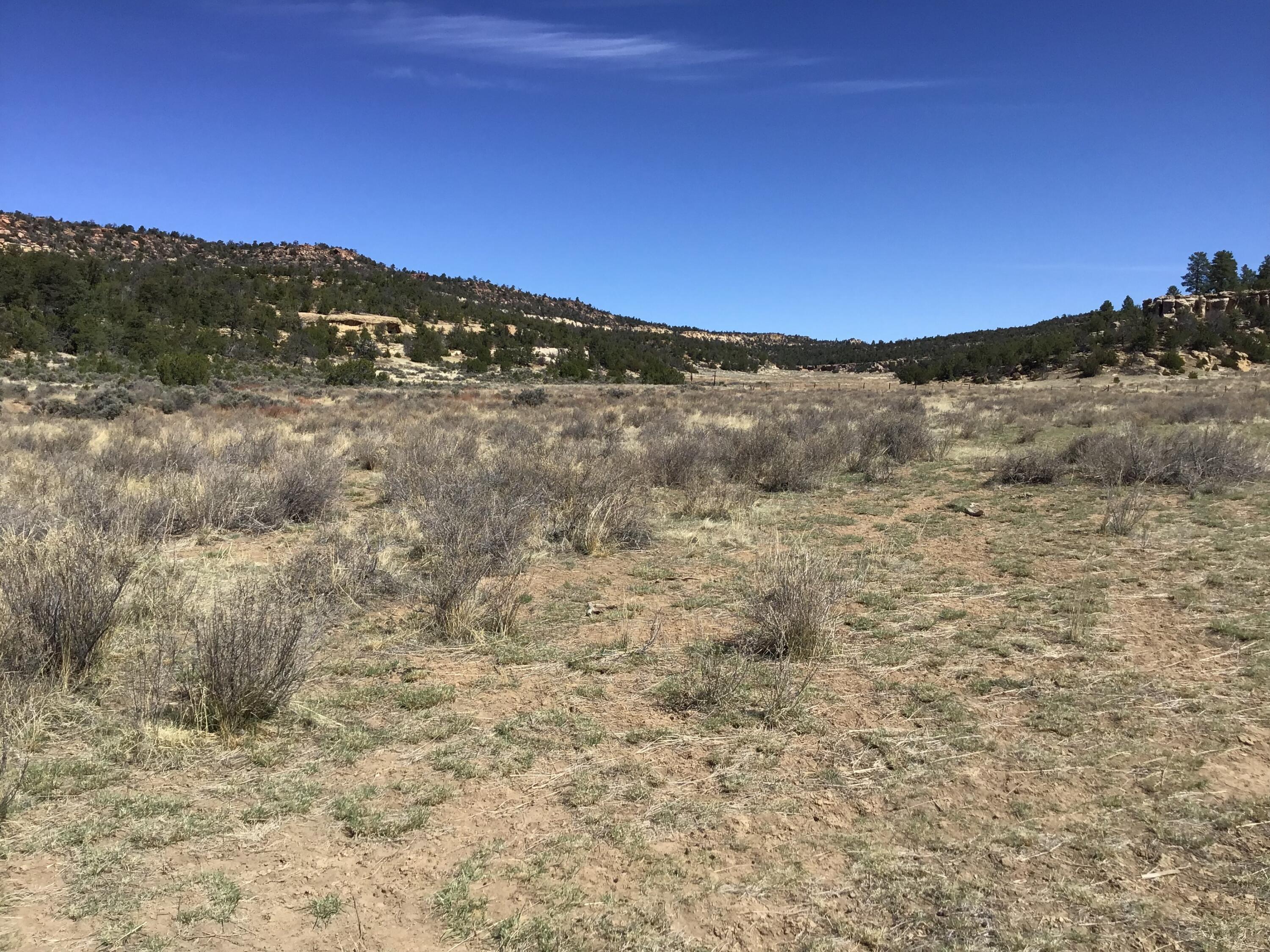 Photo 8 — 3239 Hwy 53