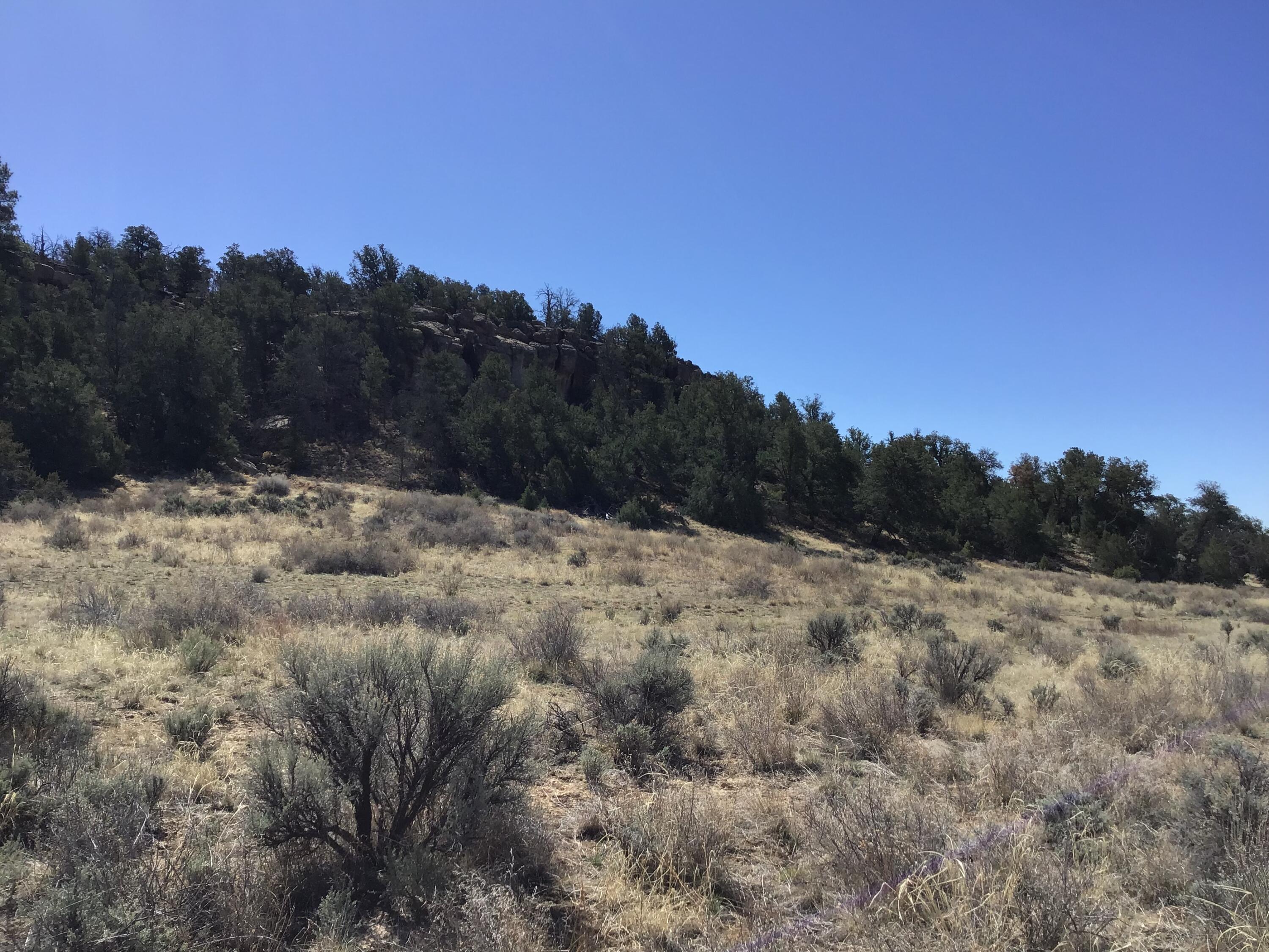 Photo 6 — 3239 Hwy 53