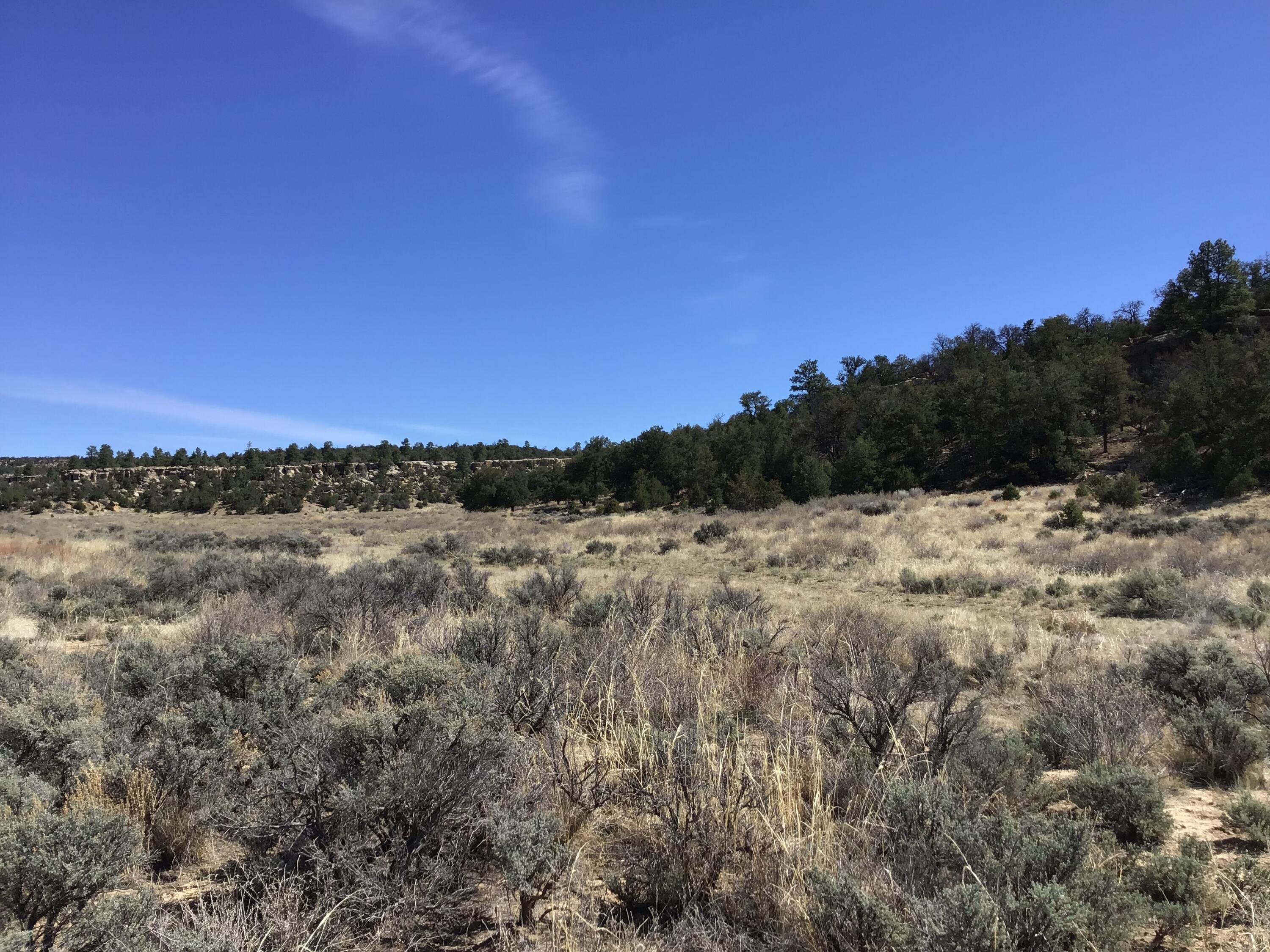 Photo 5 — 3239 Hwy 53