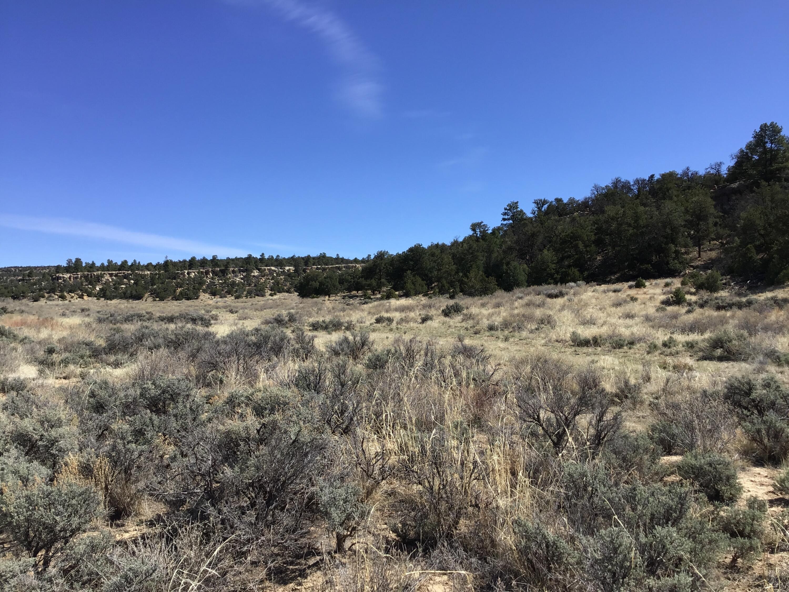Photo 4 — 3239 Hwy 53