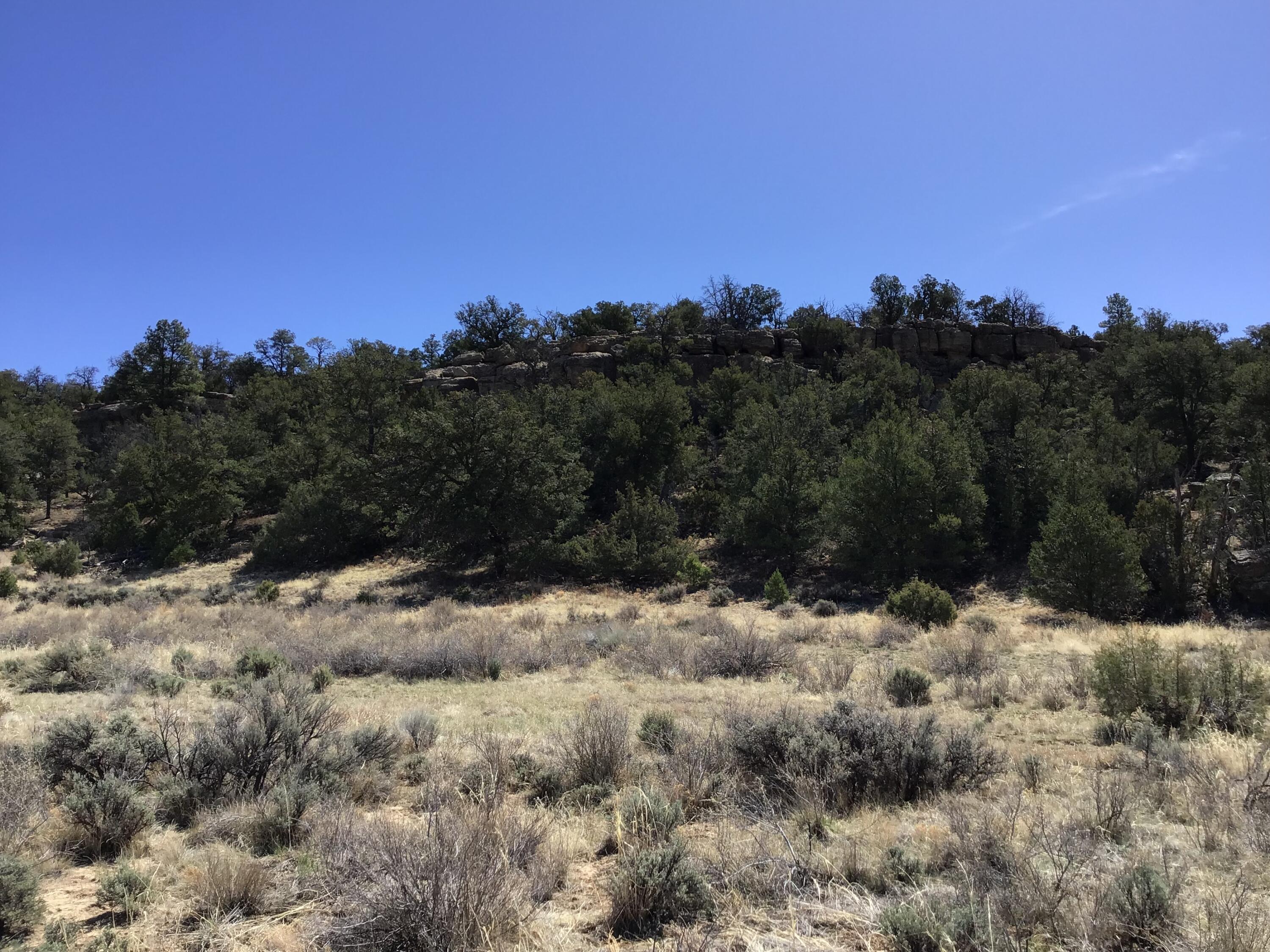 Photo 3 — 3239 Hwy 53