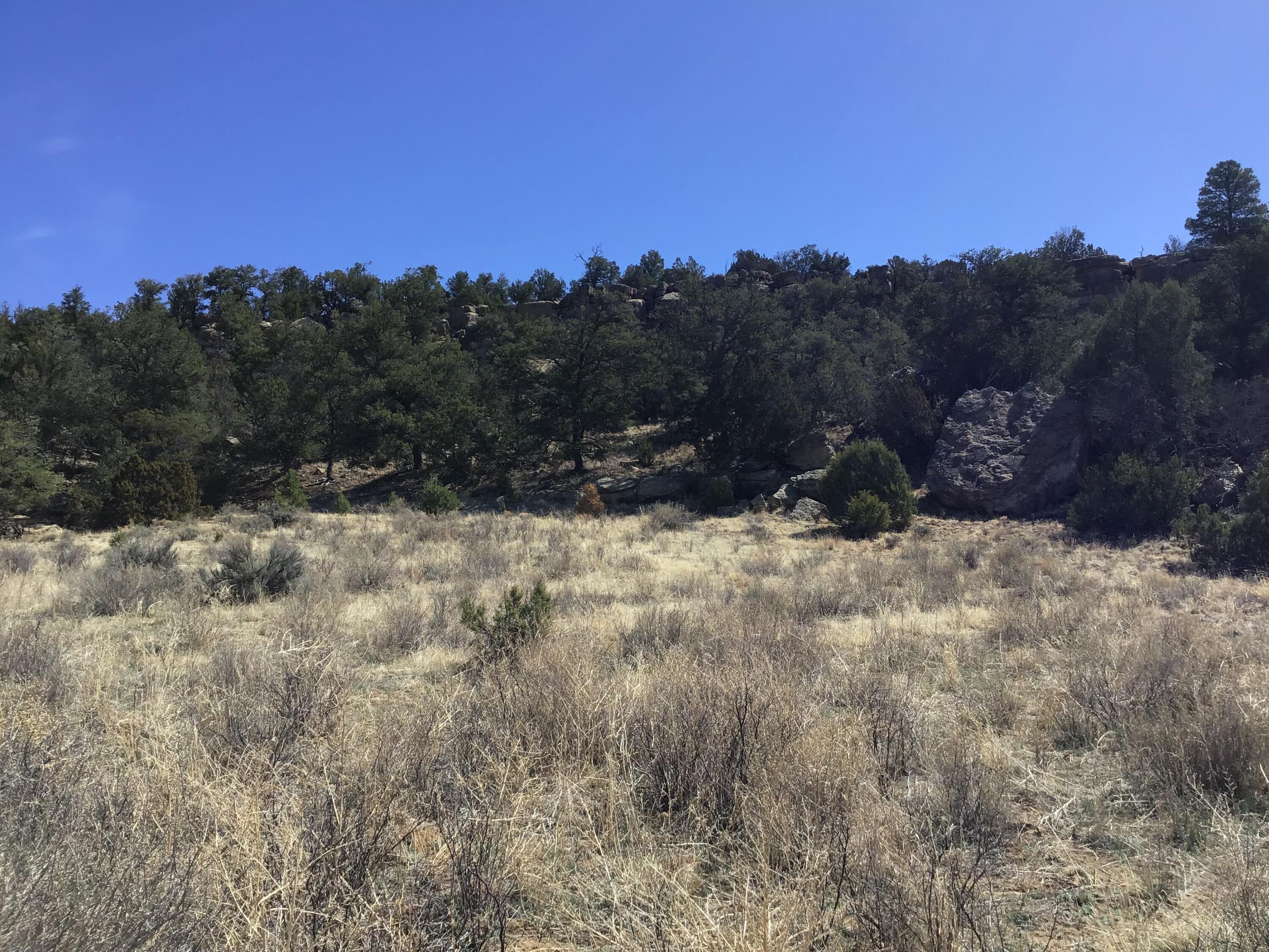 Photo 2 — 3239 Hwy 53