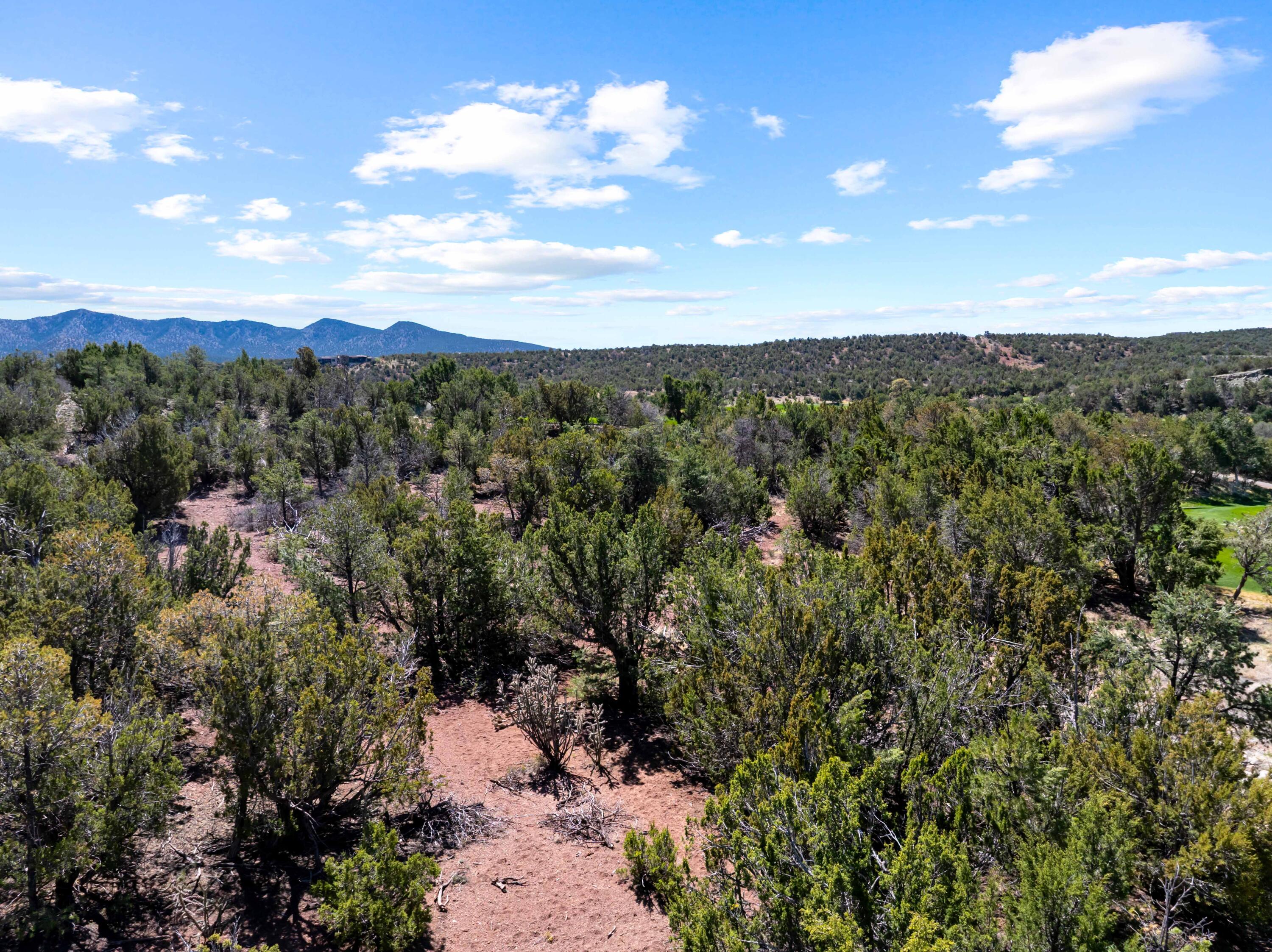 Photo 12 — 37 Shiprock Road
