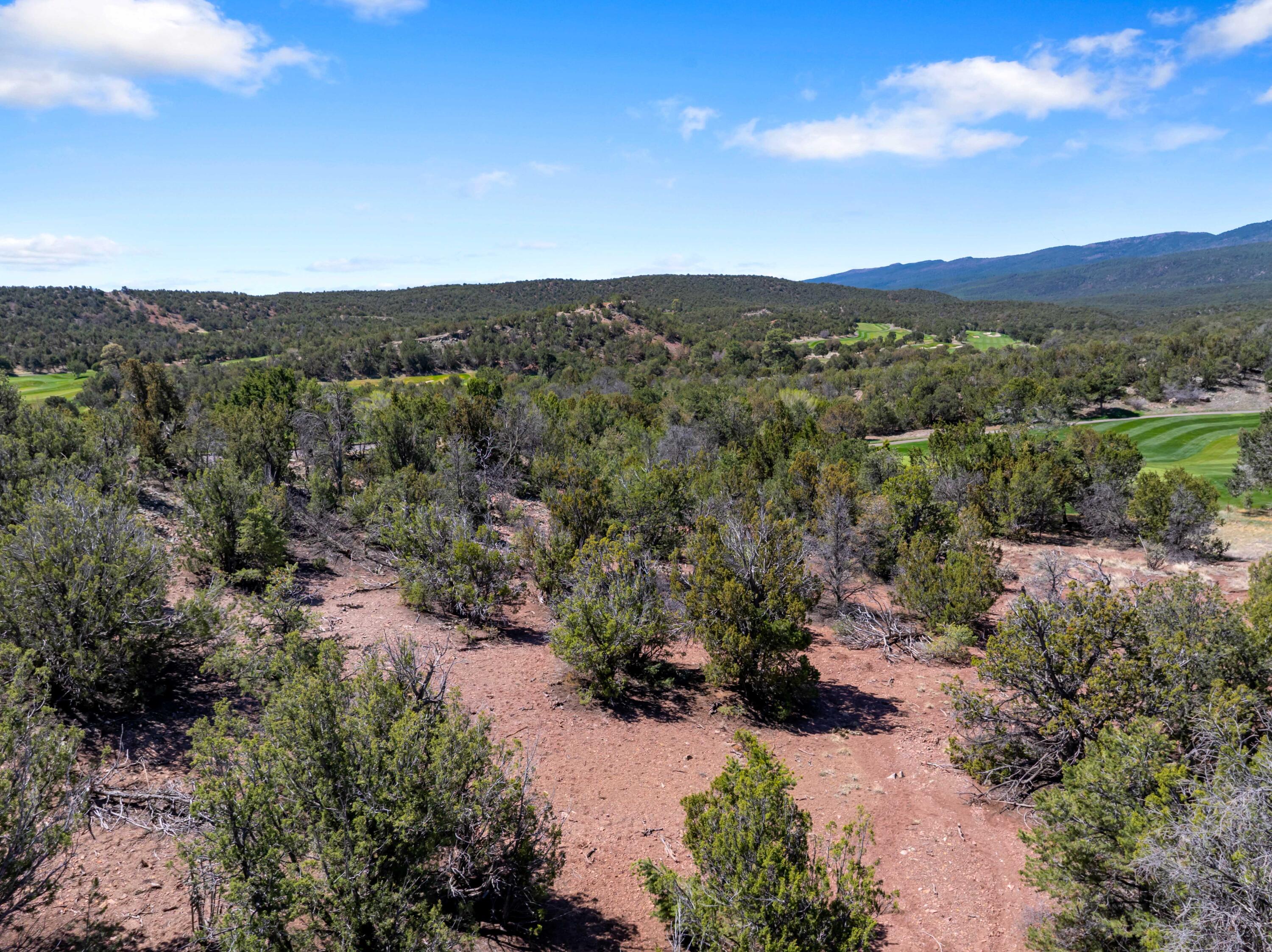 Photo 11 — 37 Shiprock Road