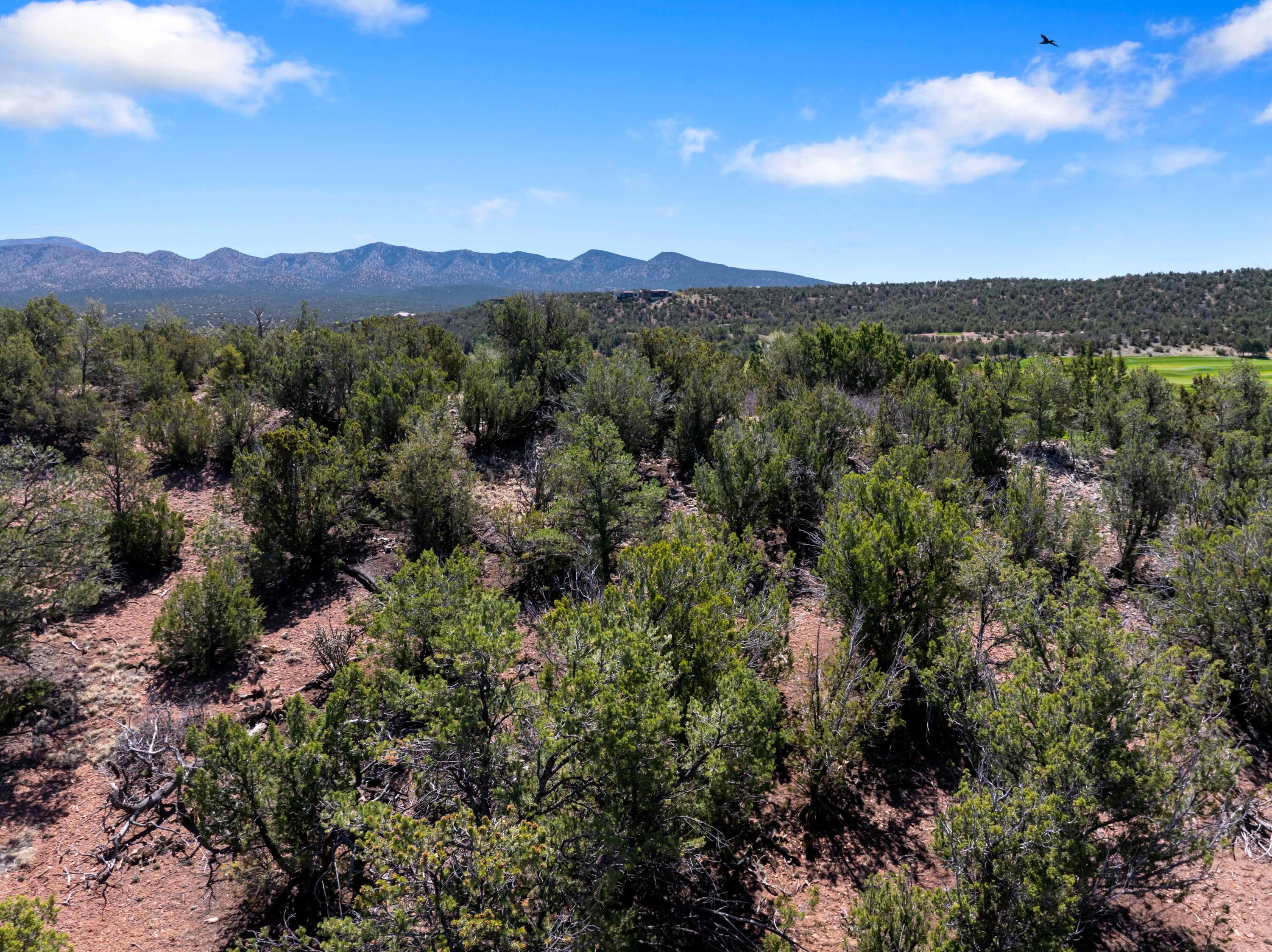 Photo 8 — 37 Shiprock Road