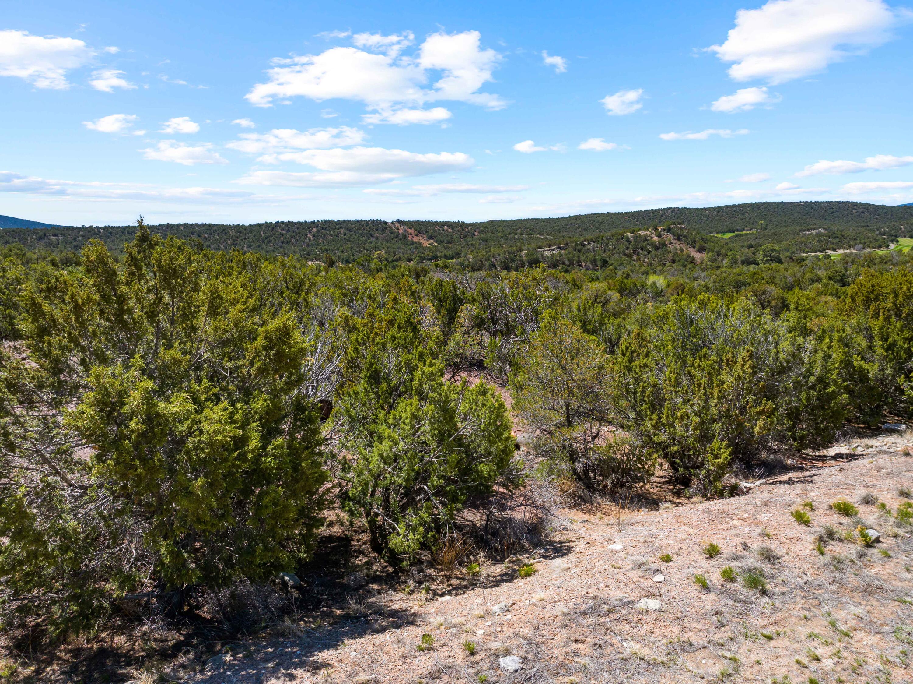 Photo 7 — 37 Shiprock Road