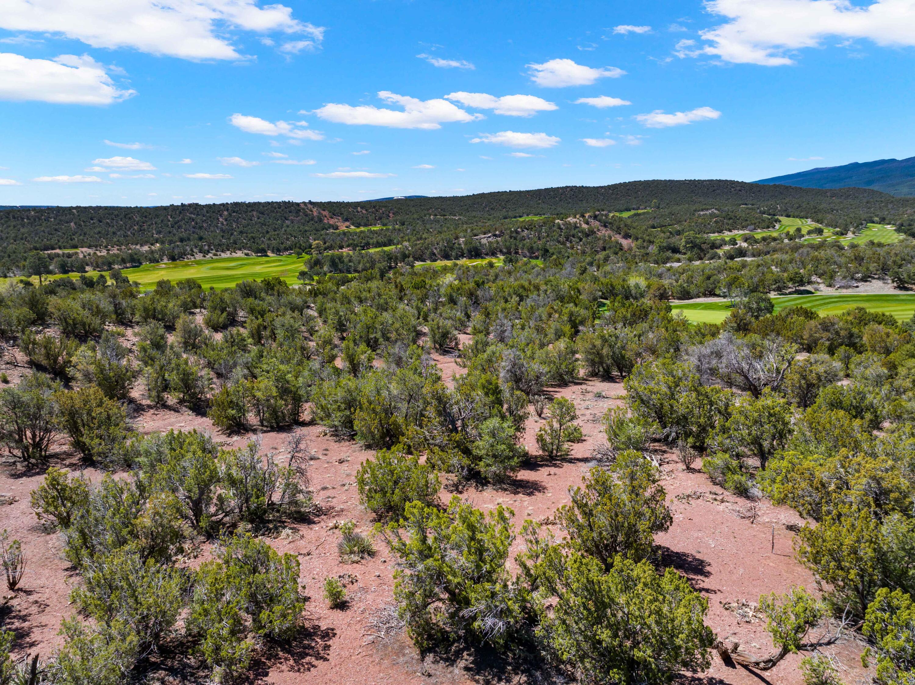 Photo 5 — 37 Shiprock Road