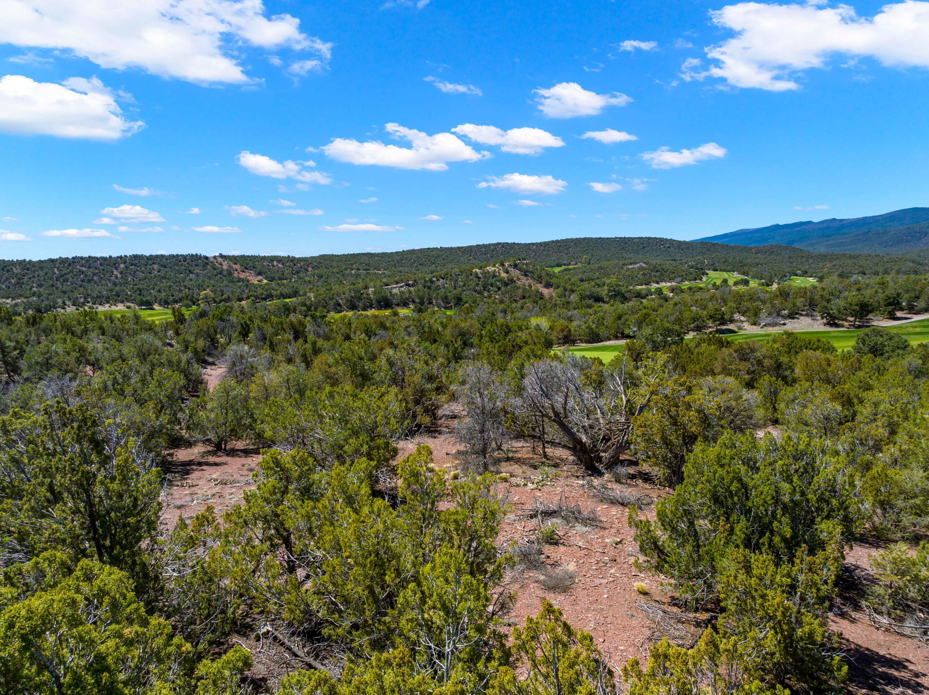 Photo 3 — 37 Shiprock Road
