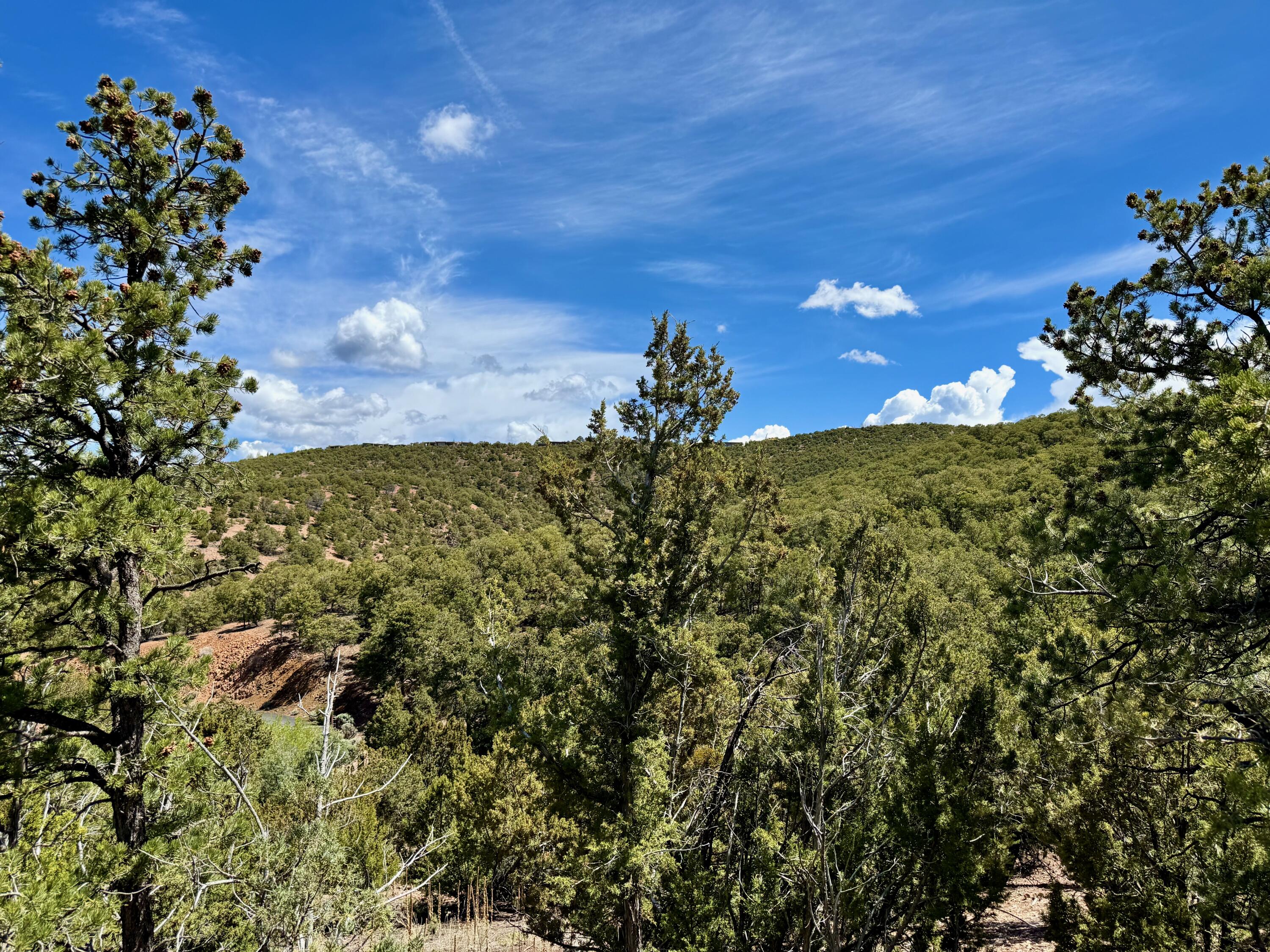 Photo 9 — 1025 S Summit