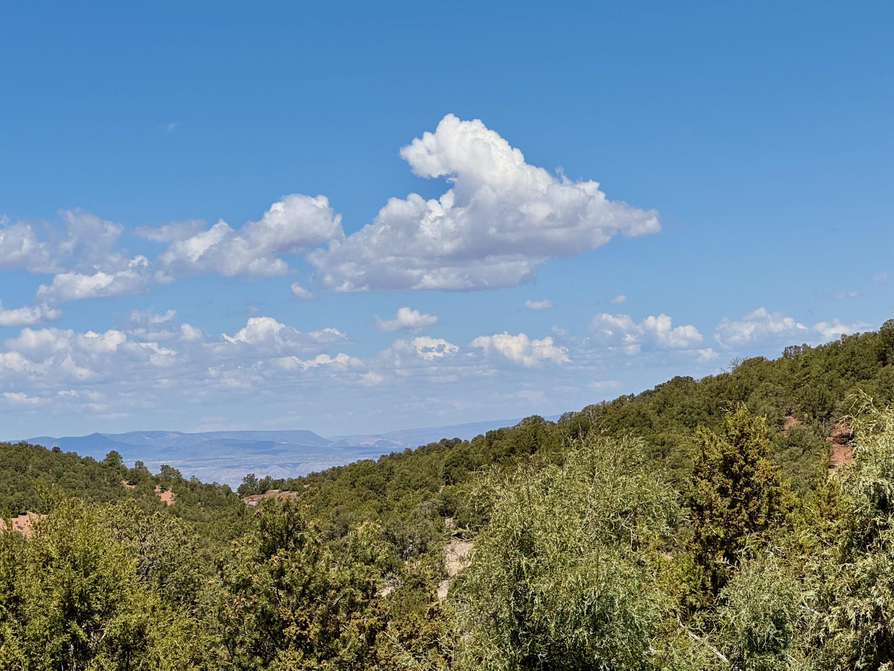 Photo 12 — 1025 S Summit