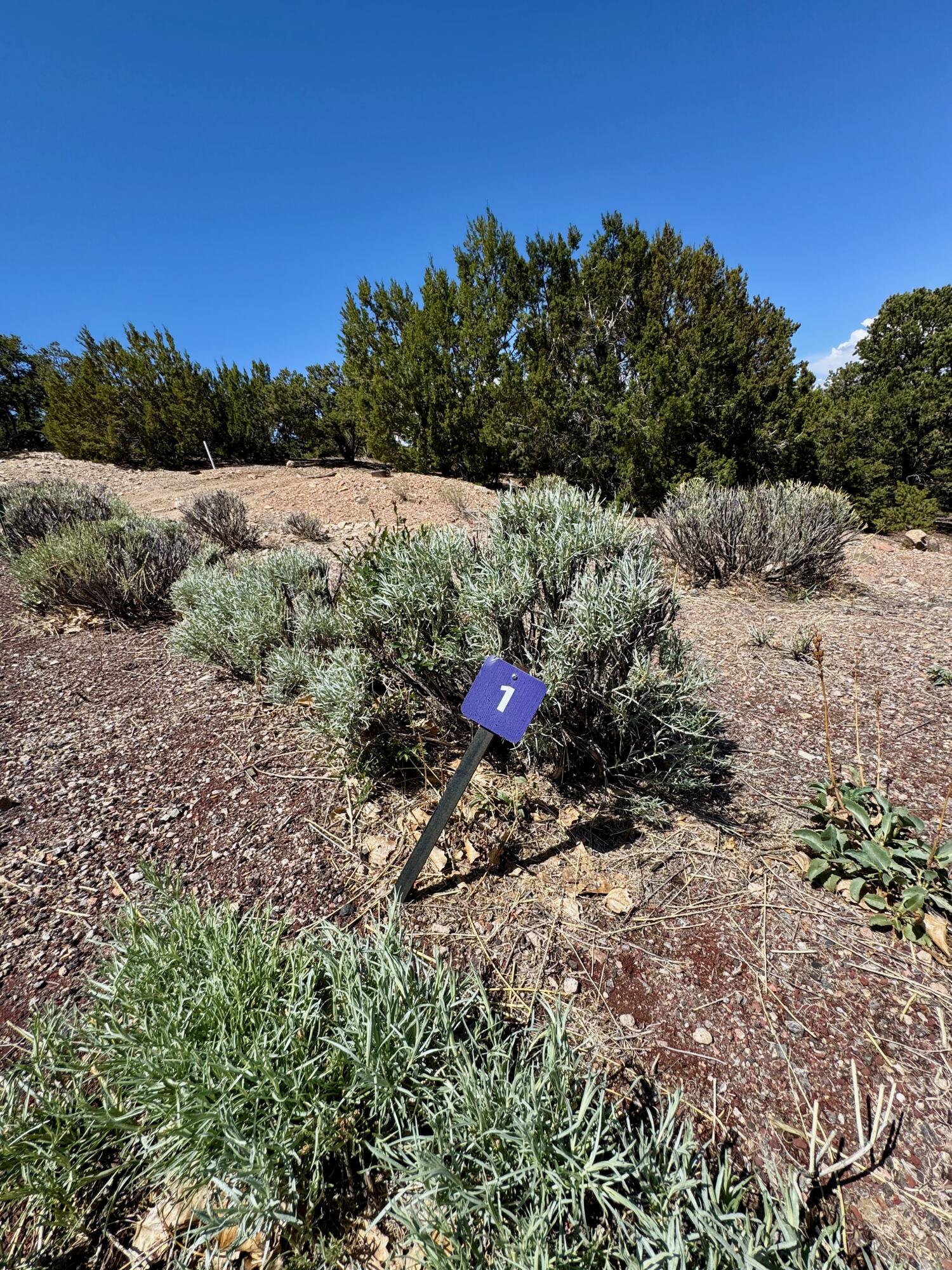 Photo 3 — 1084 S Summit Ridge