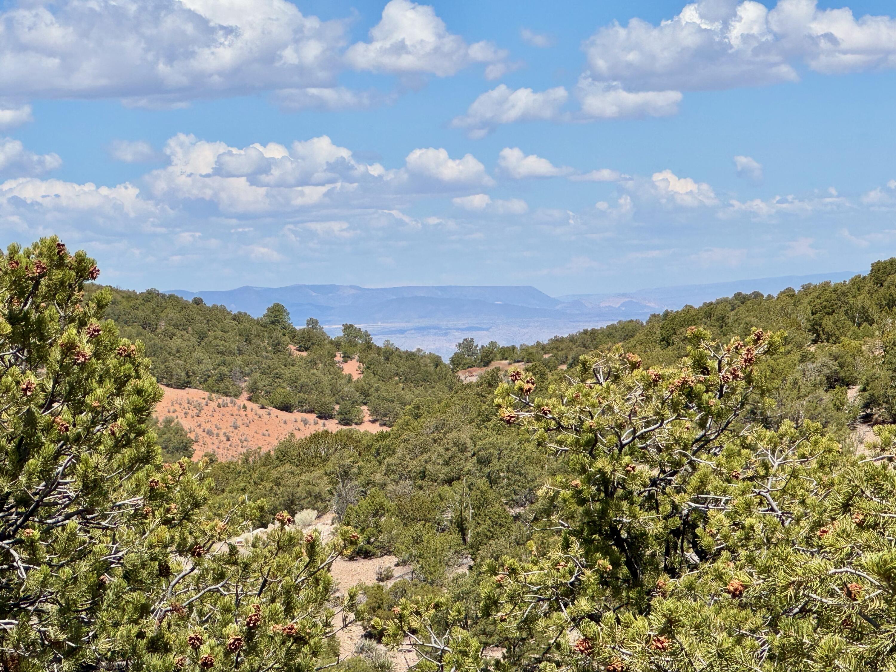 Photo 6 — 1084 S Summit Ridge