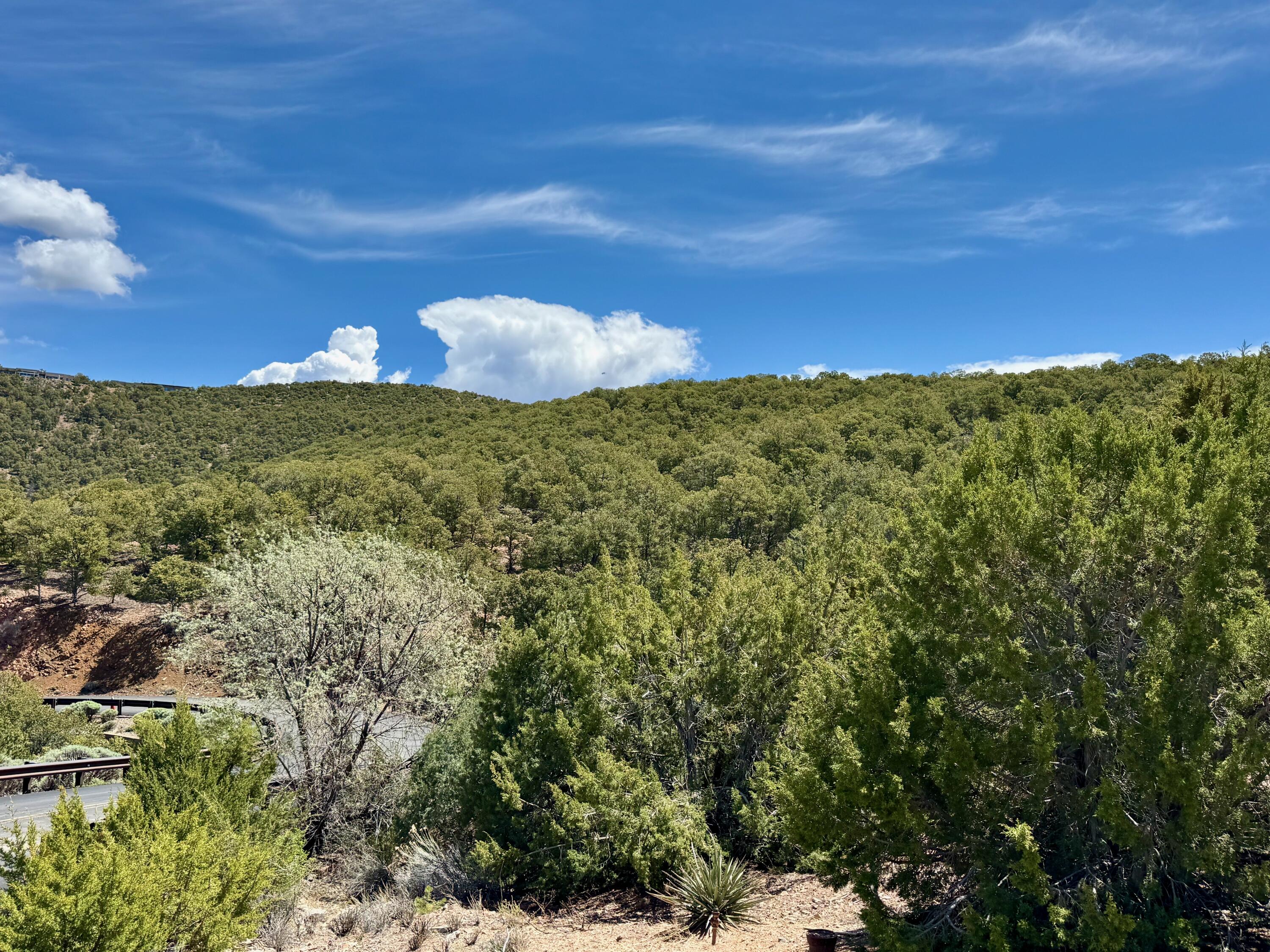 Photo 10 — 1084 S Summit Ridge