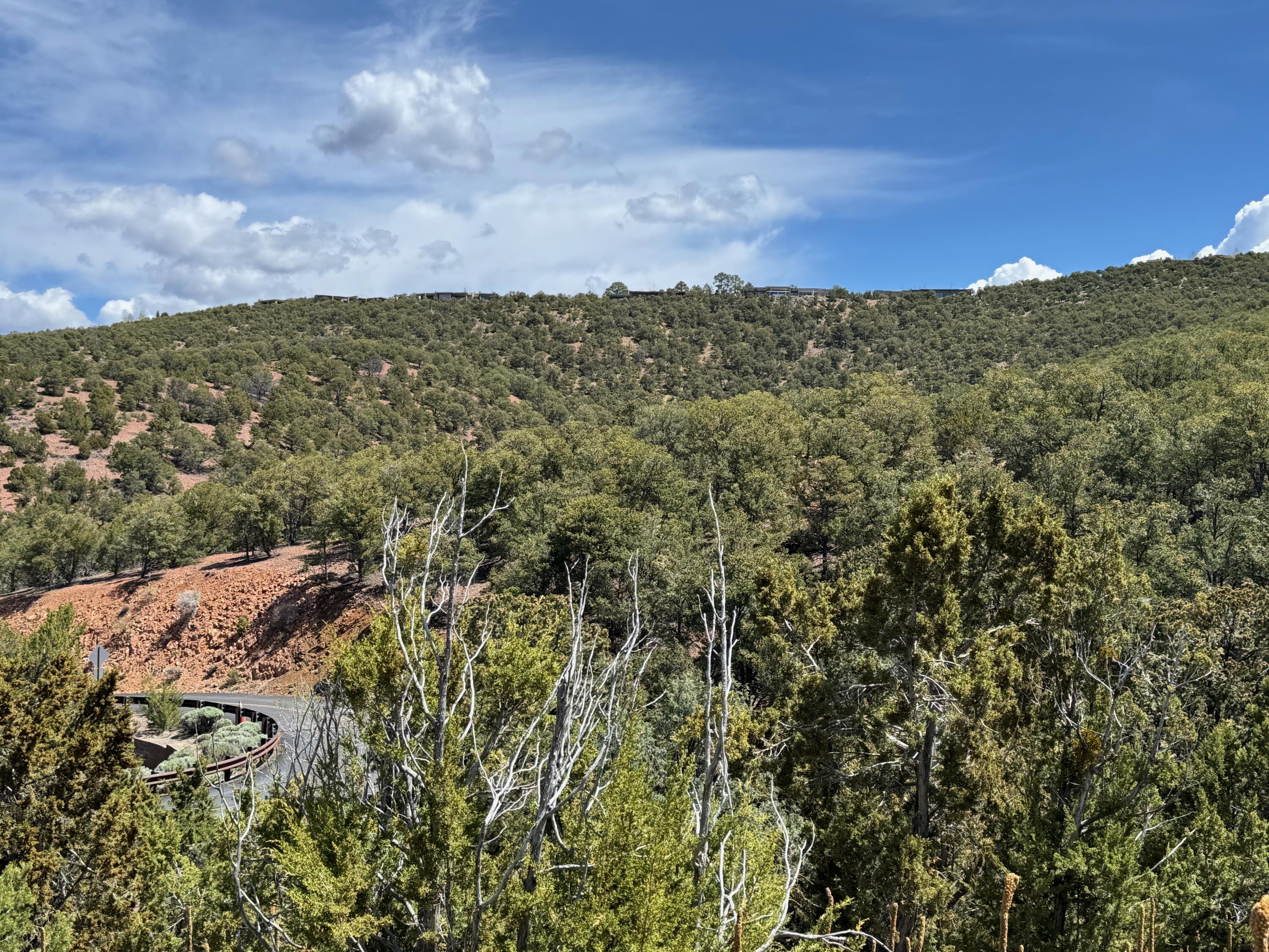 Photo 13 — 1121 S Summit Ridge
