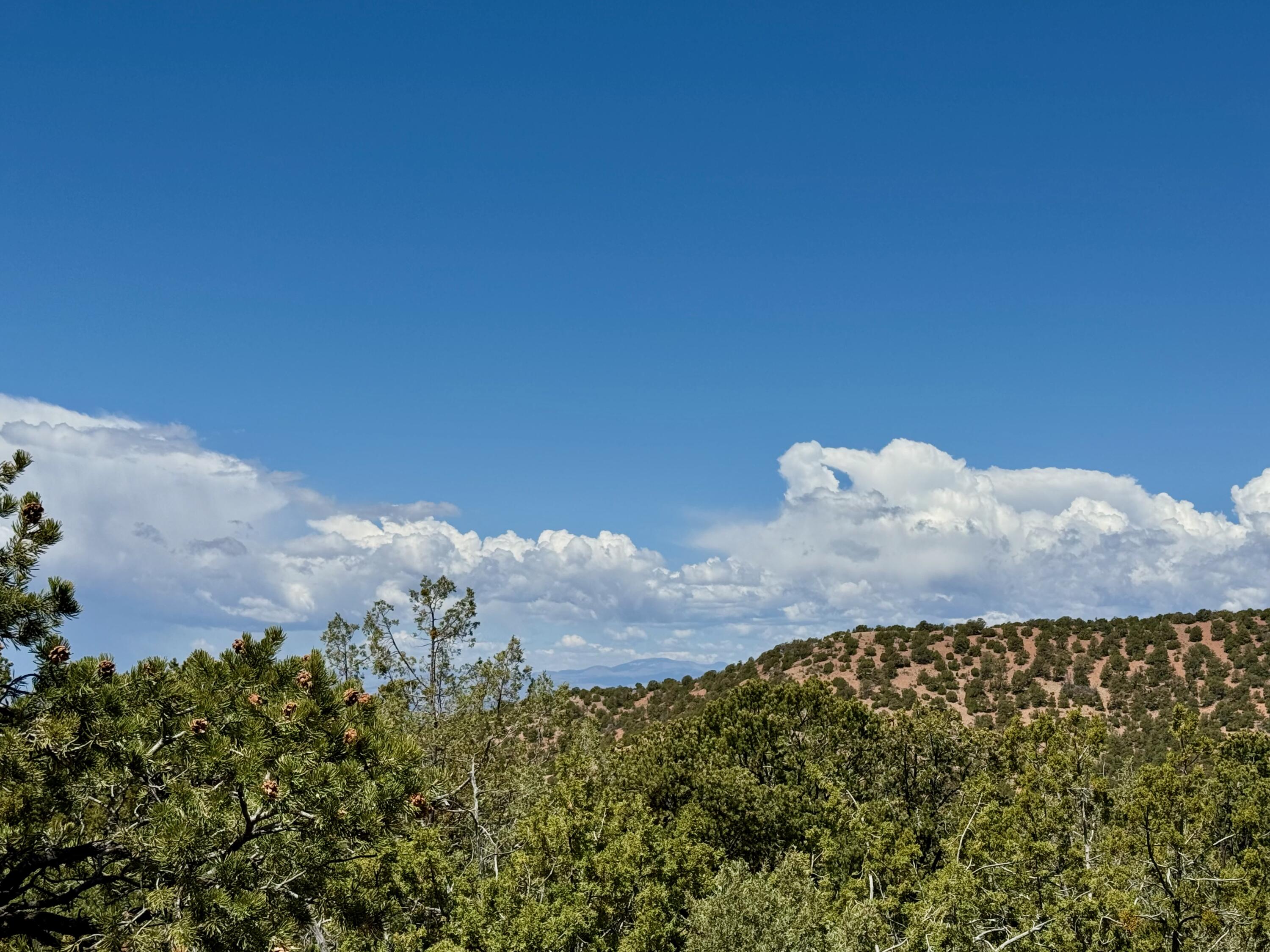 Photo 6 — 1208 S Summit Drive