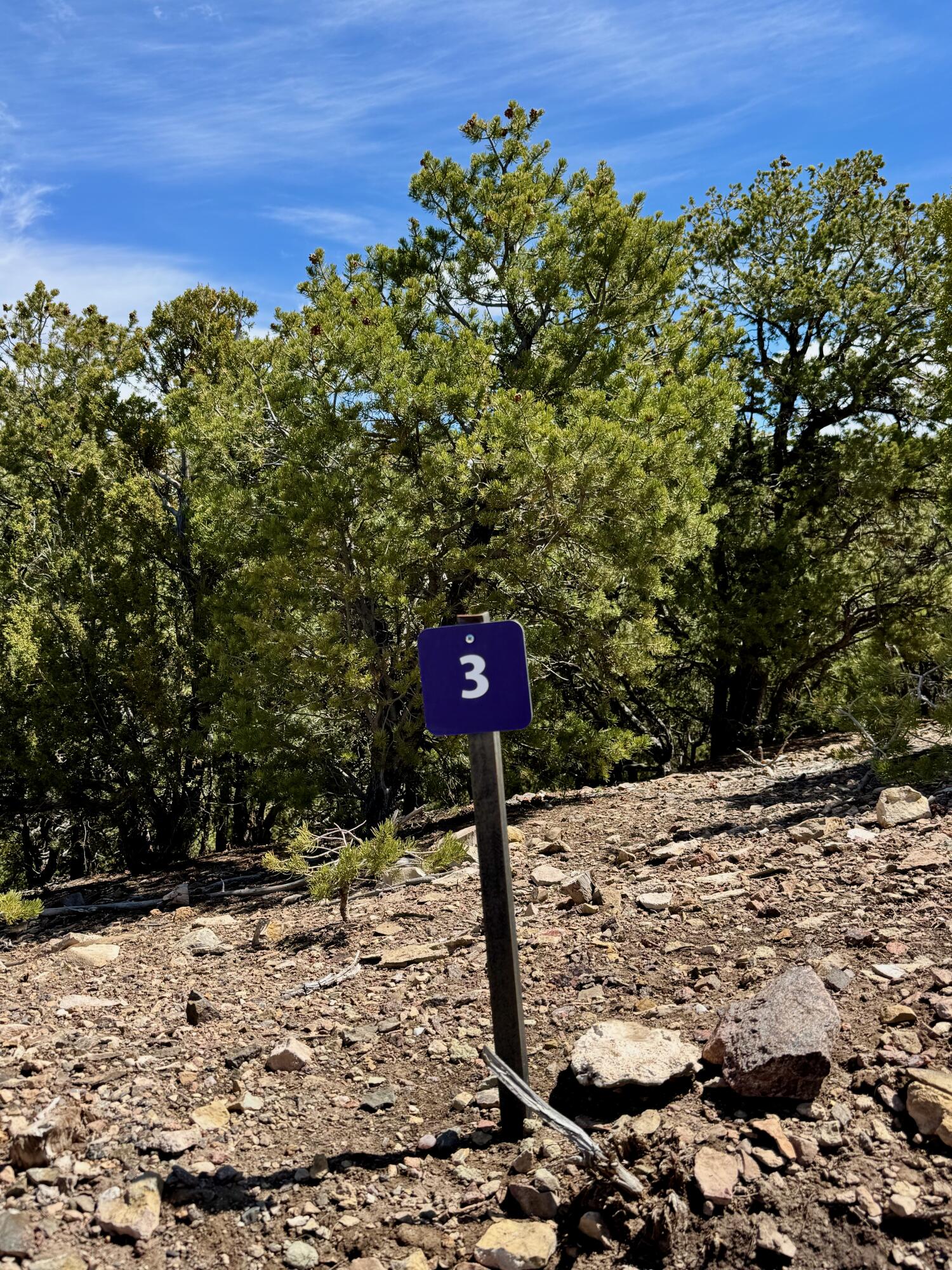 Photo 8 — 1208 S Summit Drive