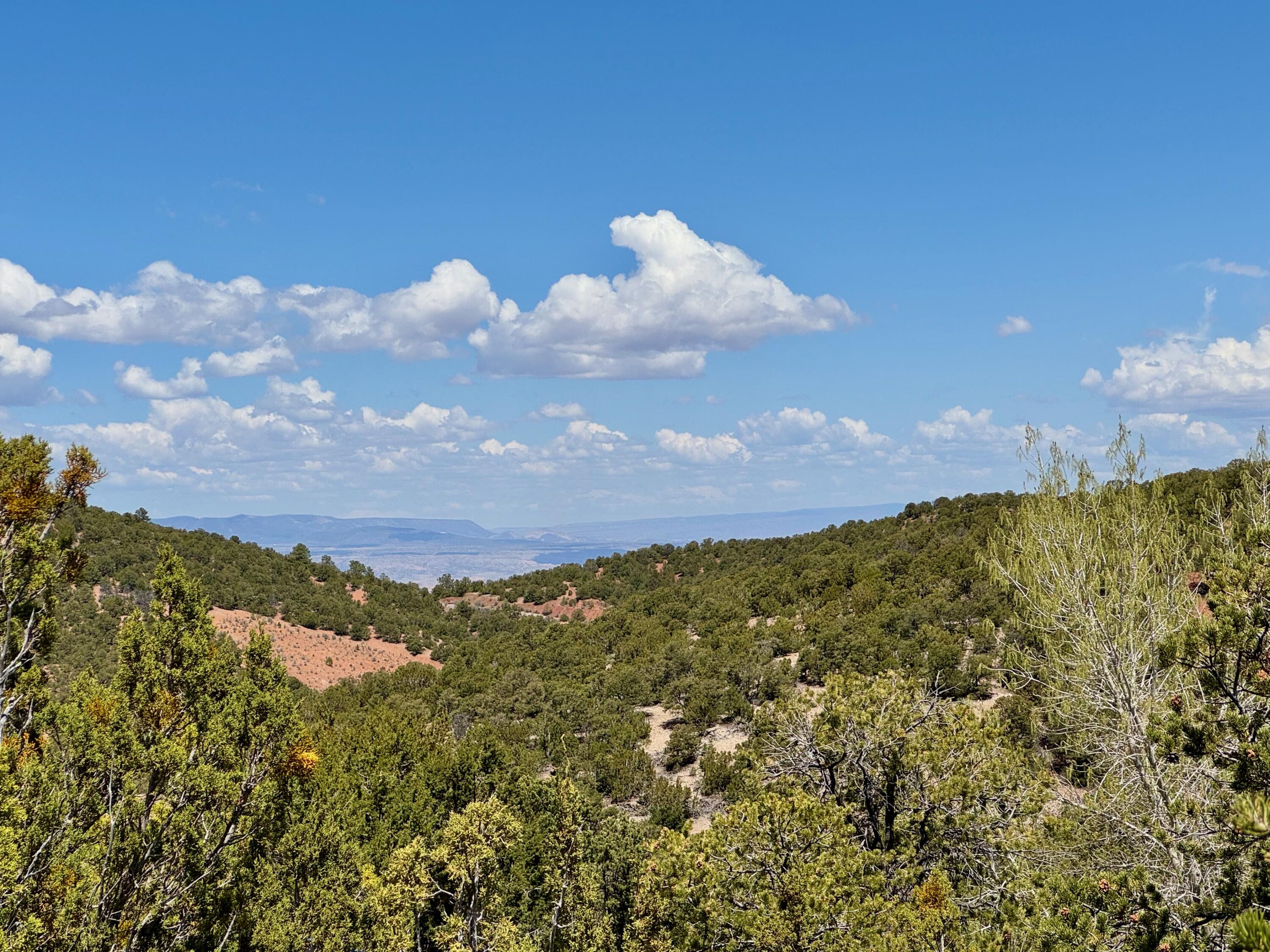Photo 10 — 1208 S Summit Drive