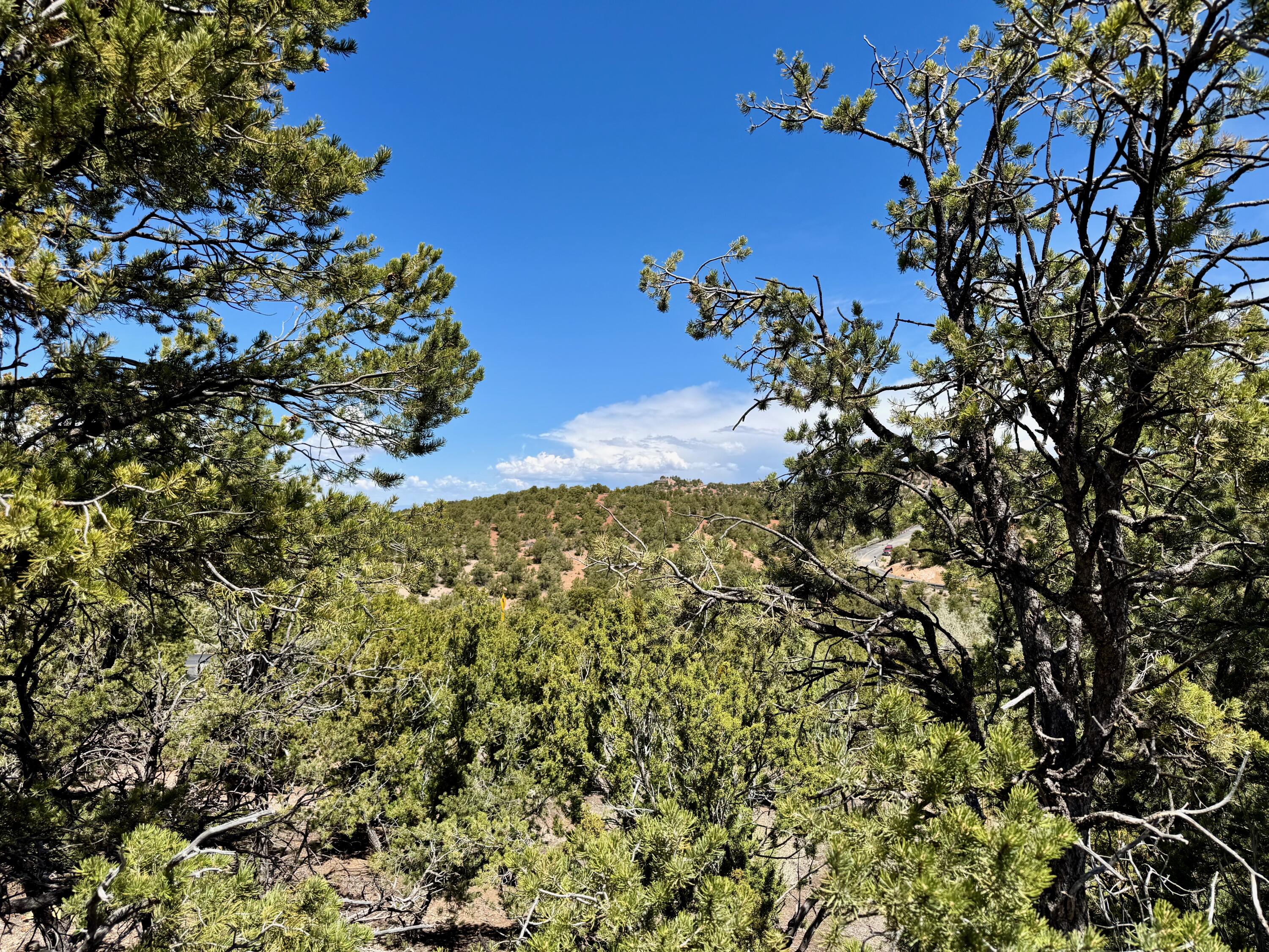 Photo 12 — 1208 S Summit Drive