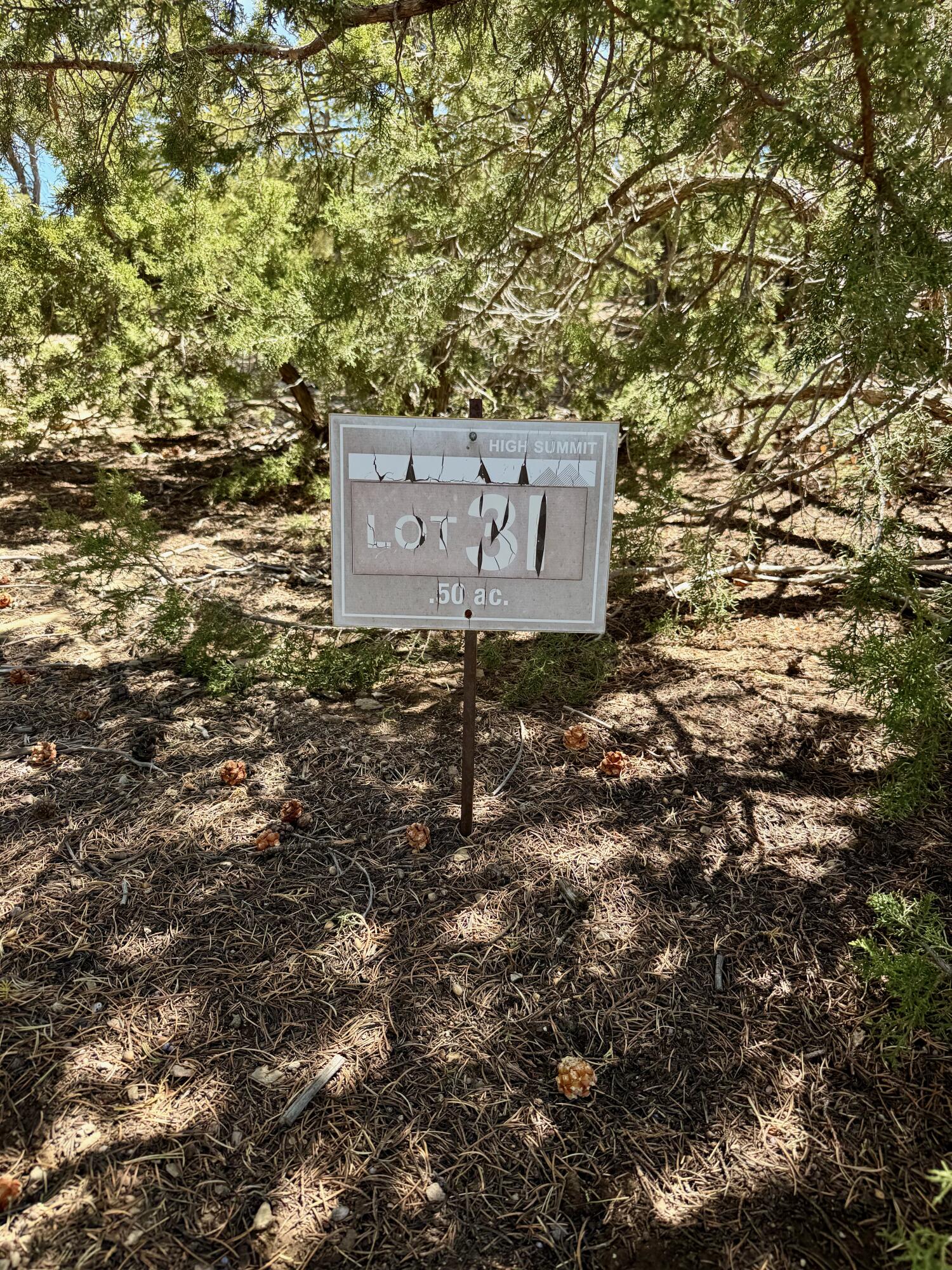 Photo 19 — 1208 S Summit Drive