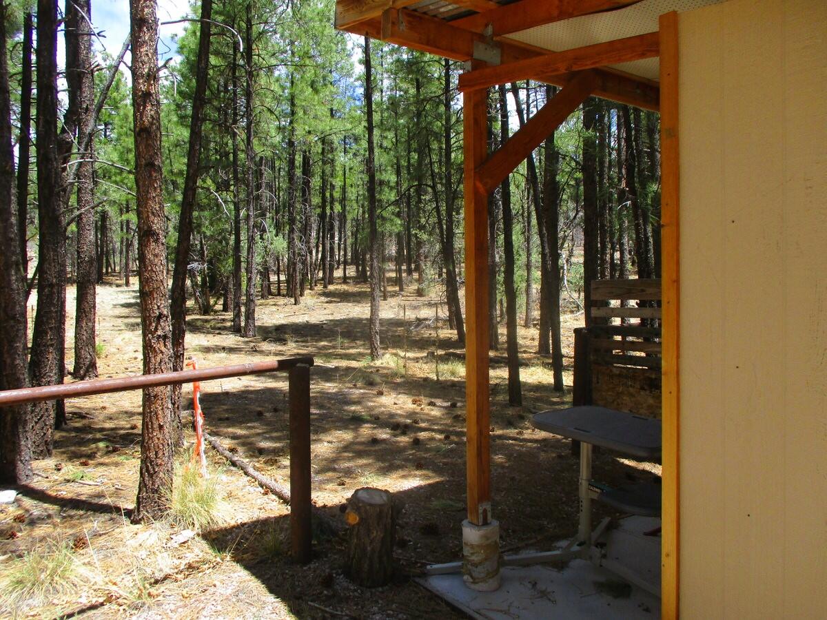 Photo 2 — 160 Black Bear Road