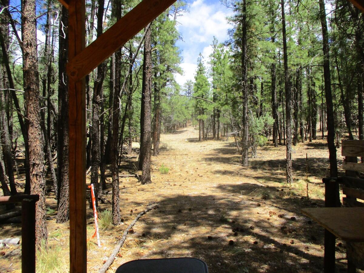 Photo 3 — 160 Black Bear Road