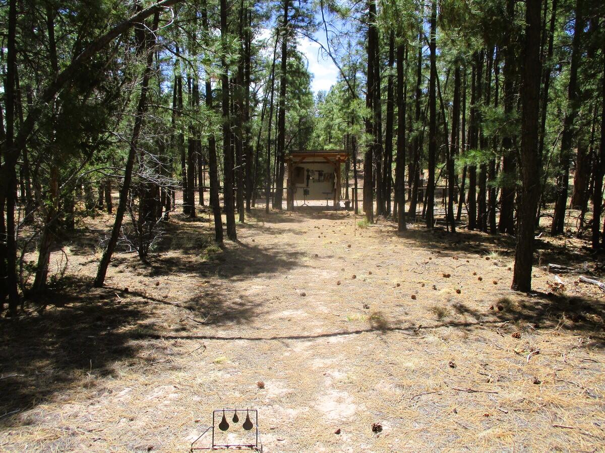 Photo 5 — 160 Black Bear Road