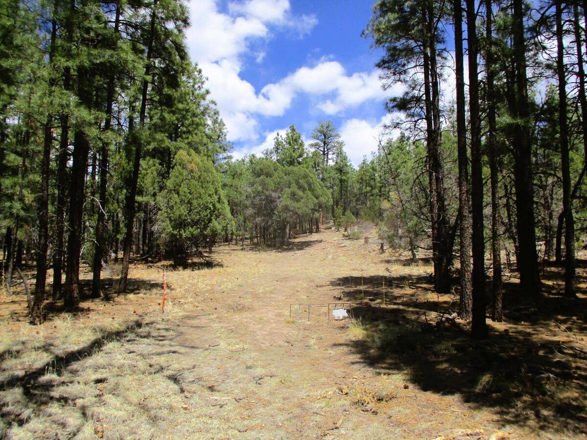 Photo 6 — 160 Black Bear Road