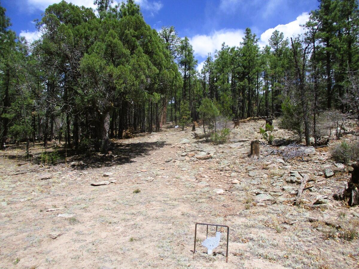 Photo 7 — 160 Black Bear Road