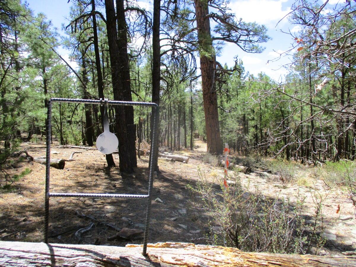 Photo 10 — 160 Black Bear Road