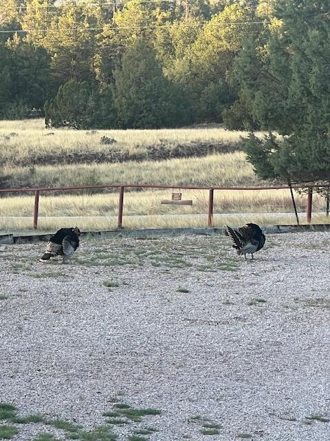 Photo 13 — 160 Black Bear Road