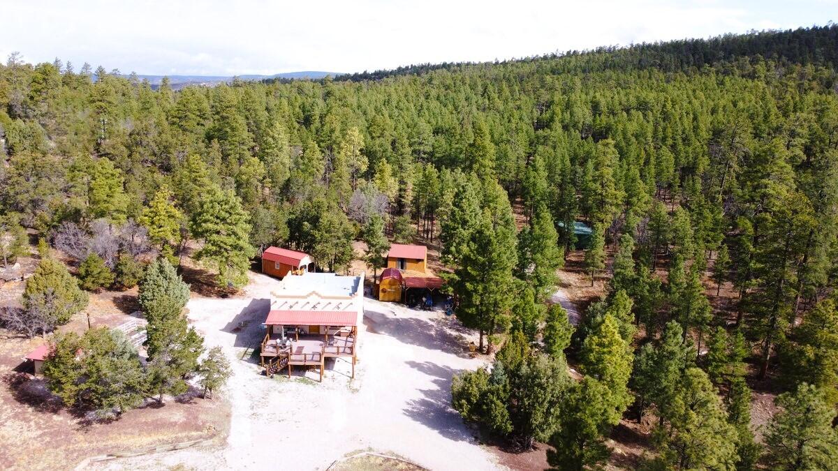 Photo 16 — 160 Black Bear Road