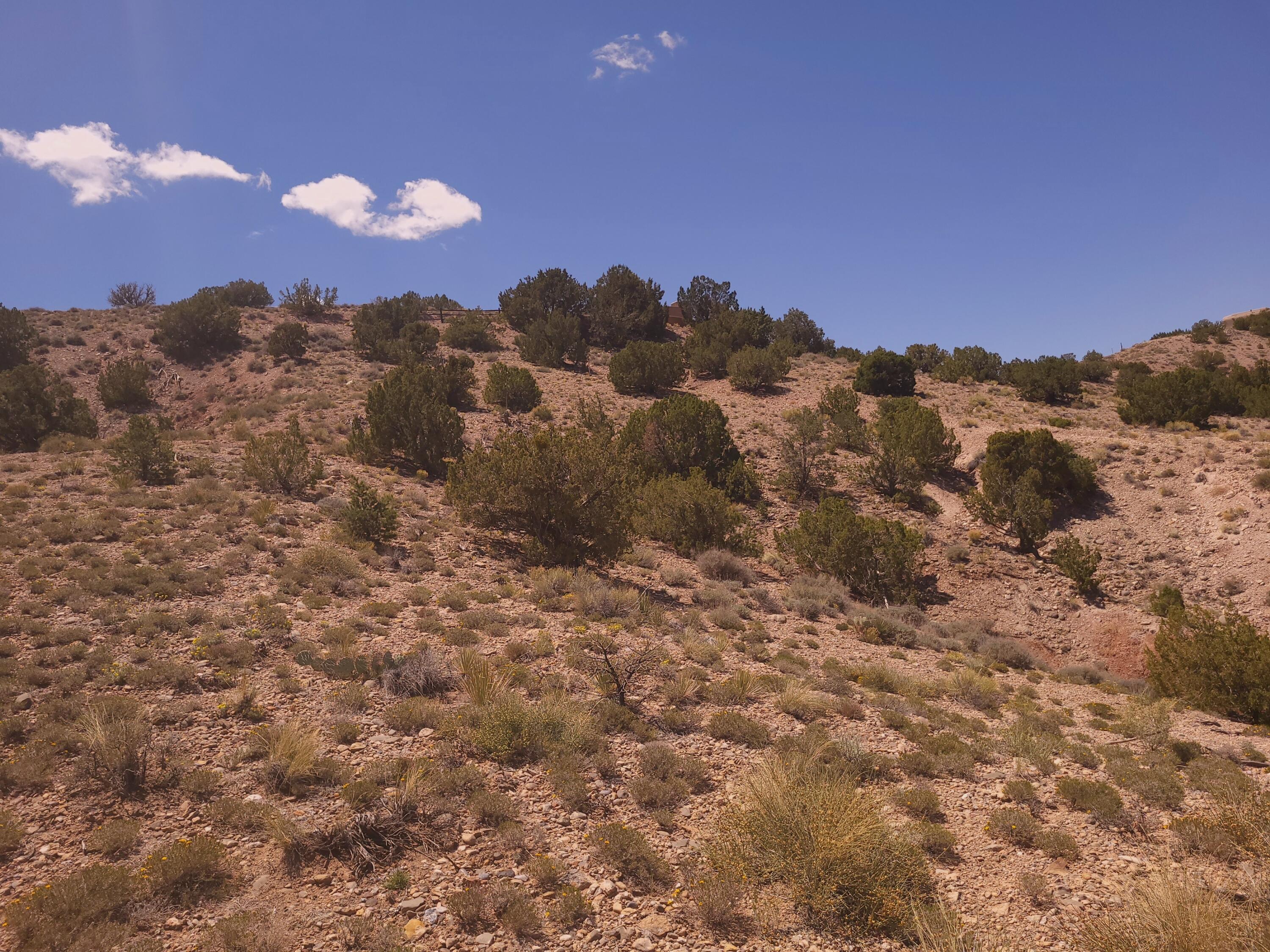Photo 2 — 50 Cienega Canyon Road