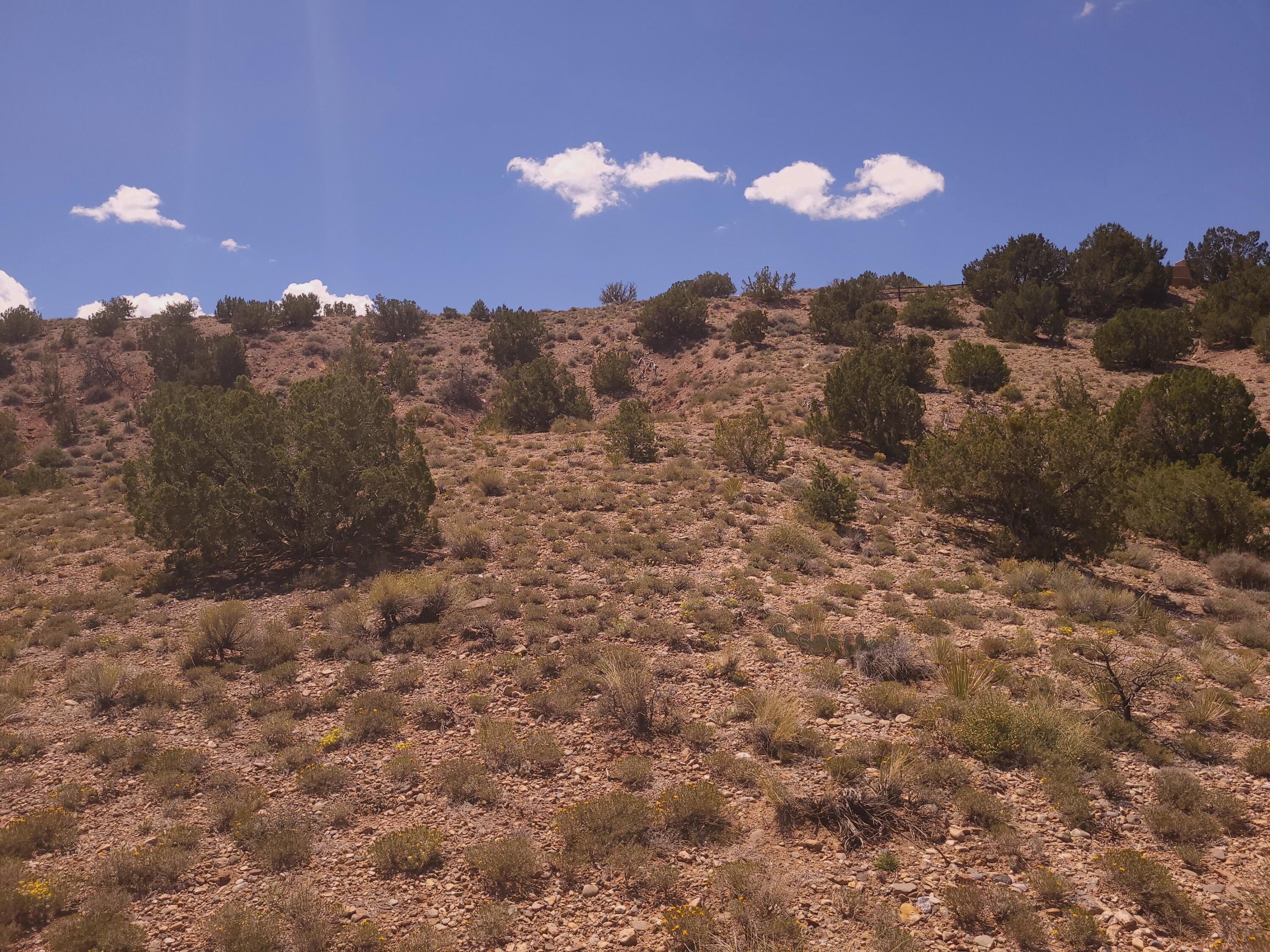 Photo 3 — 50 Cienega Canyon Road