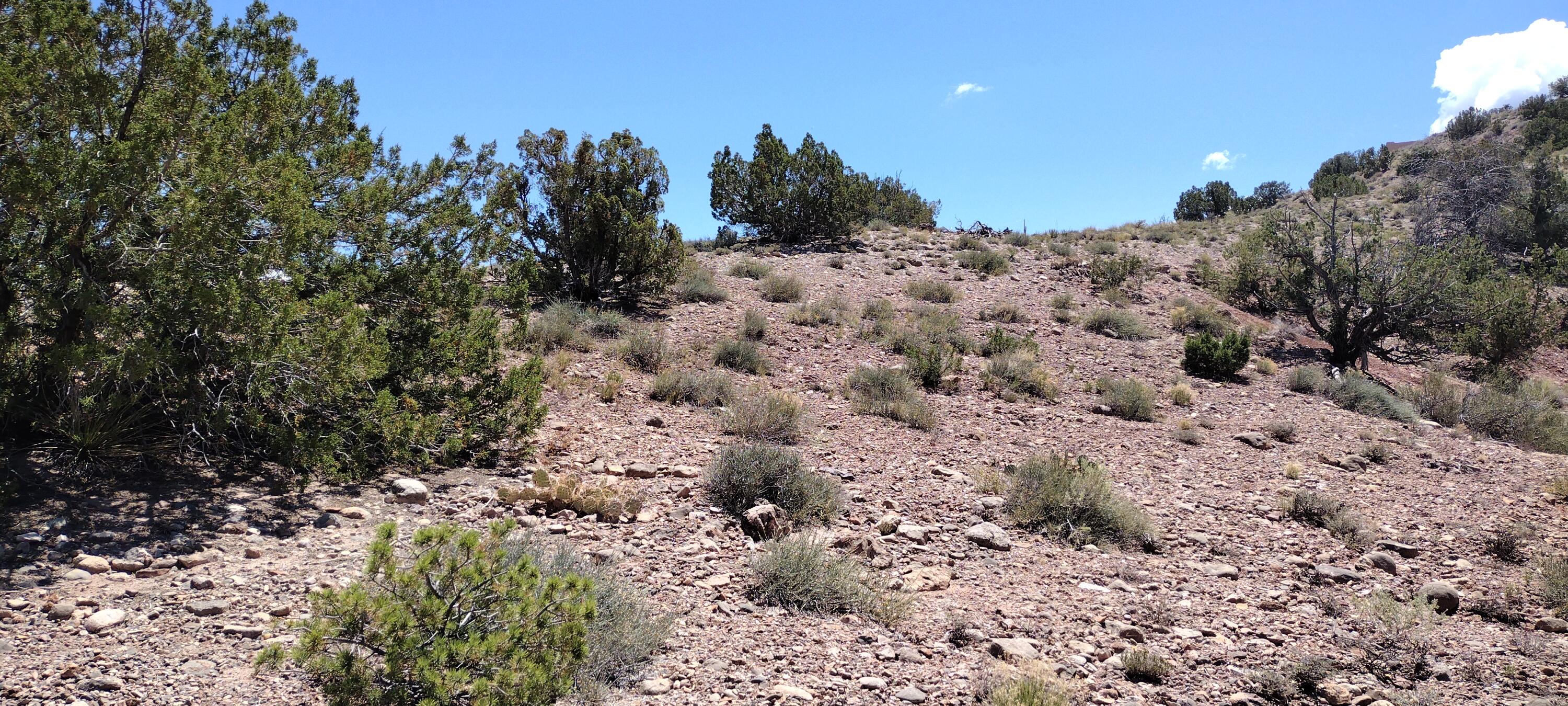 Photo 4 — 50 Cienega Canyon Road