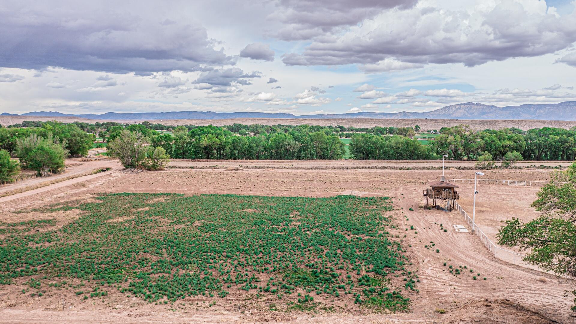 Photo 4 — 1208 Bosque Farms Boulevard