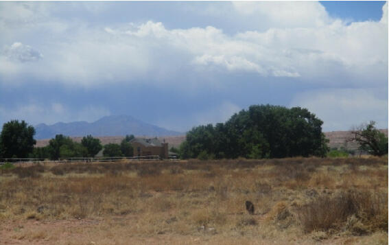 Photo 4 —  Calle De Las Plactias