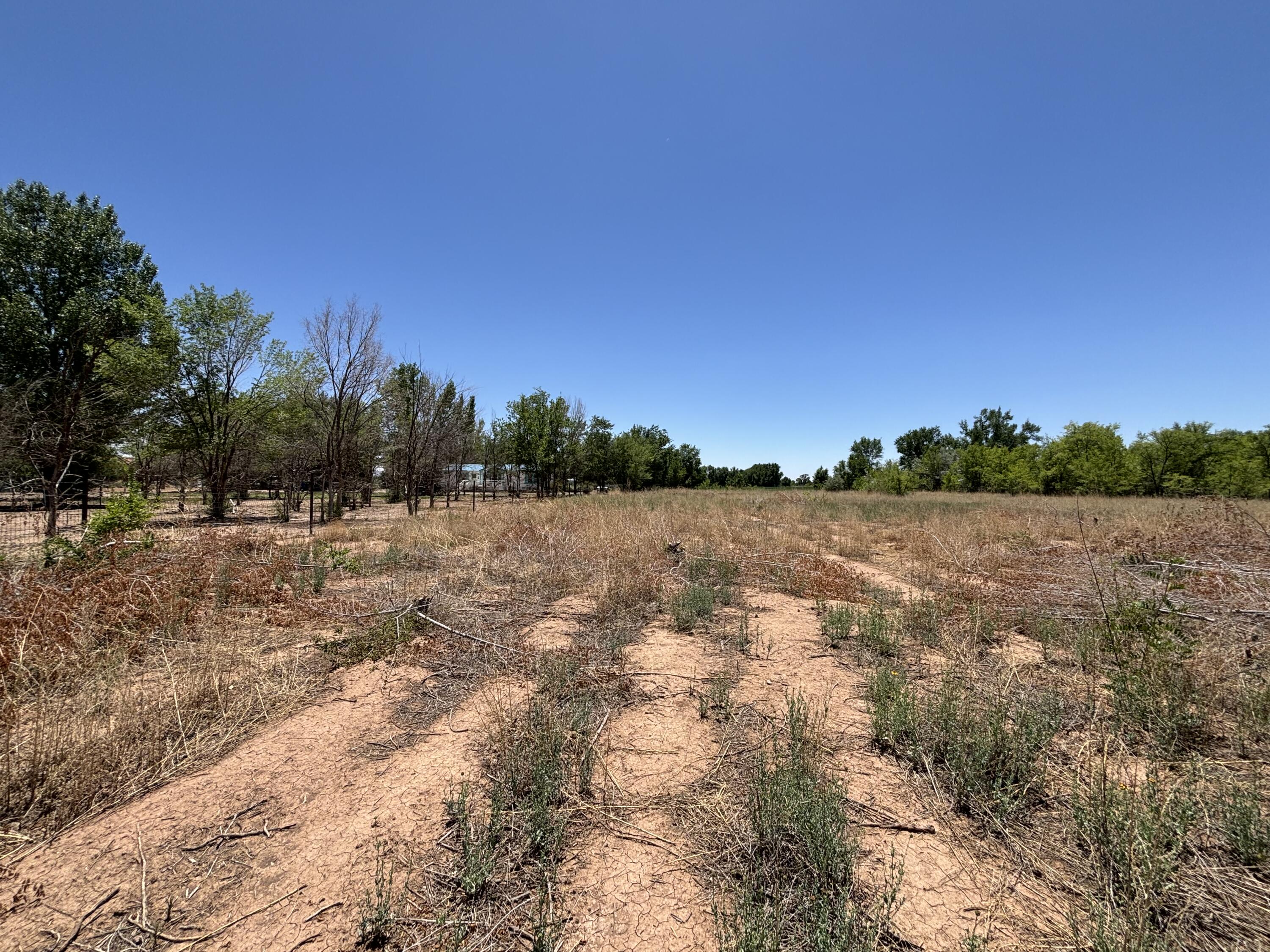 Photo 8 —  Romero Road