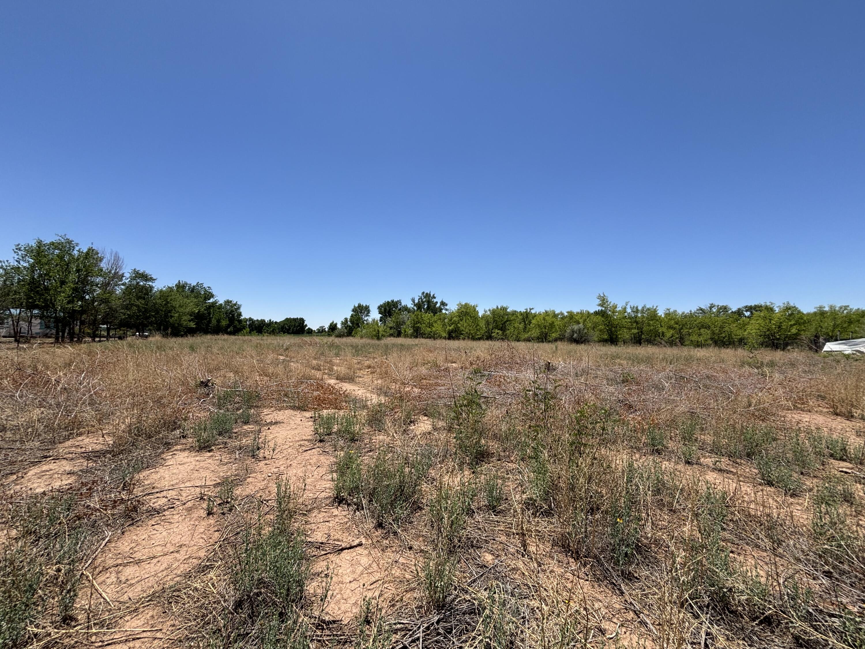 Photo 7 —  Romero Road